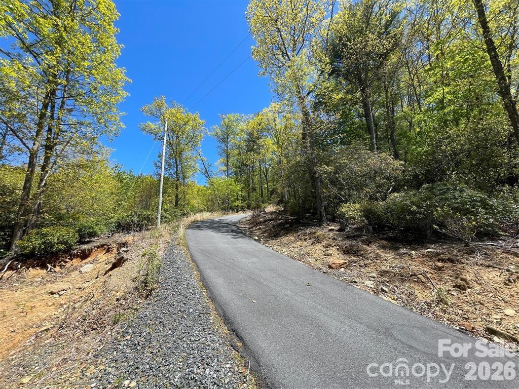 000 Orchard View Trail 11 Property Photo 18