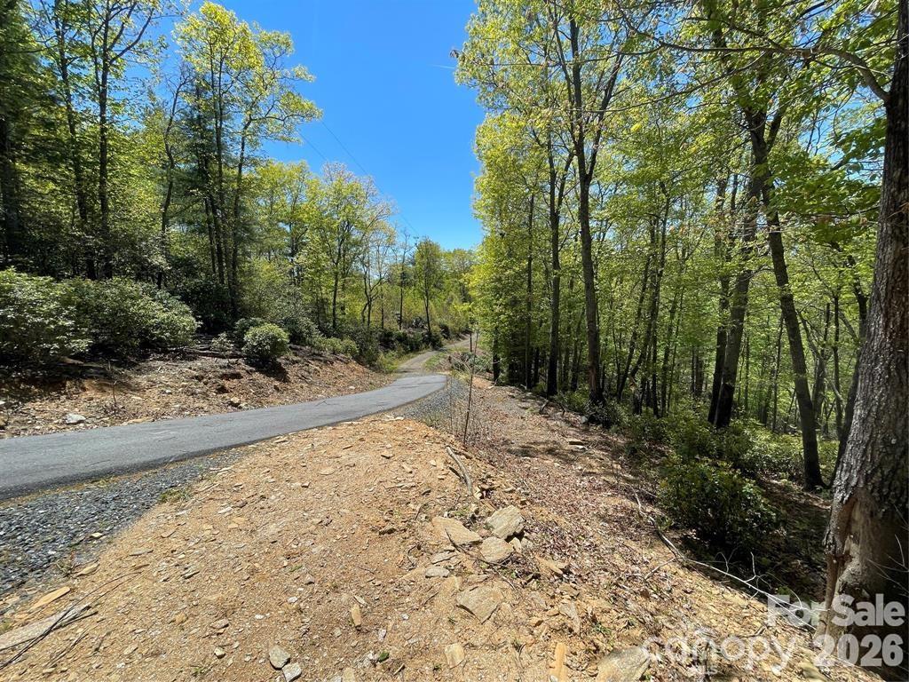 000 Orchard View Trail 11 Property Photo 19