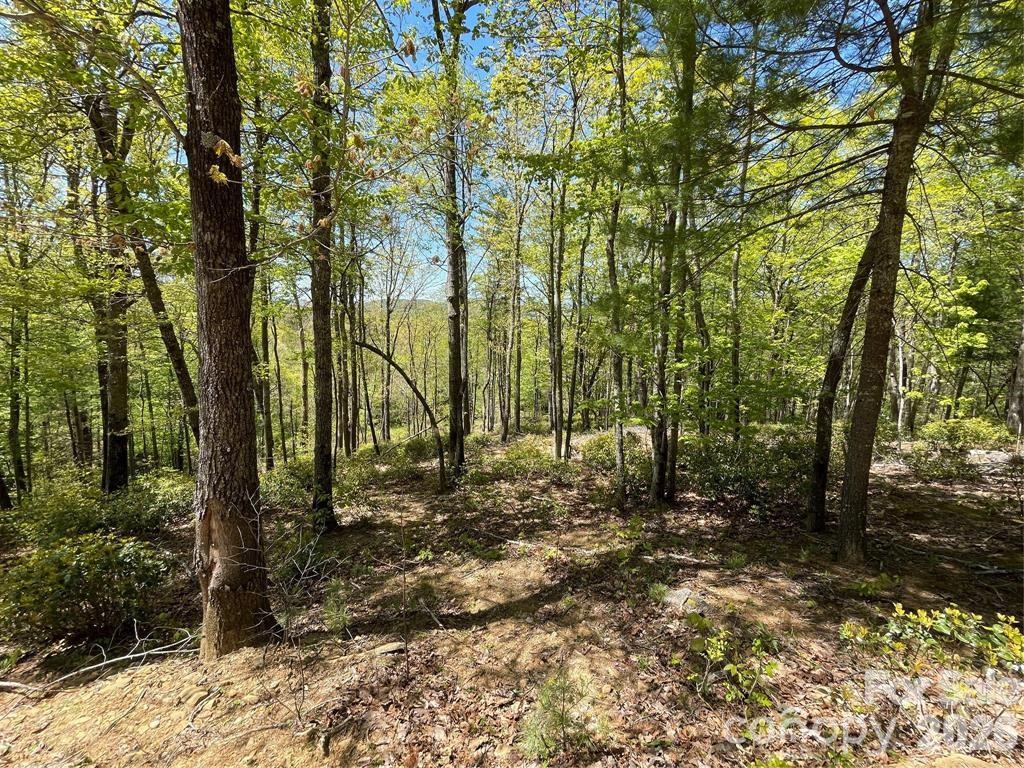 000 Orchard View Trail 11 Property Photo 20