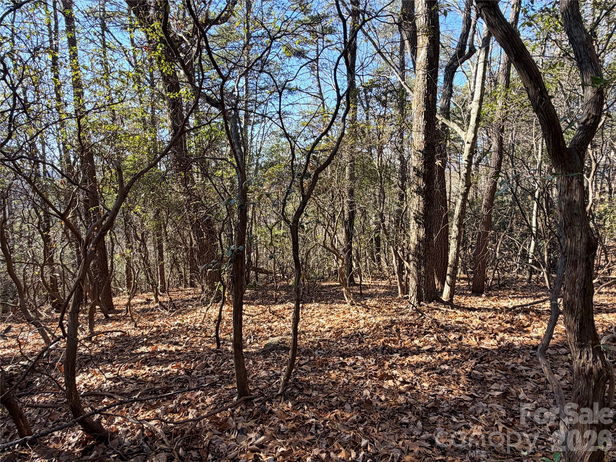 Tbd Bobcat Mountain Road 27 Property Photo 3
