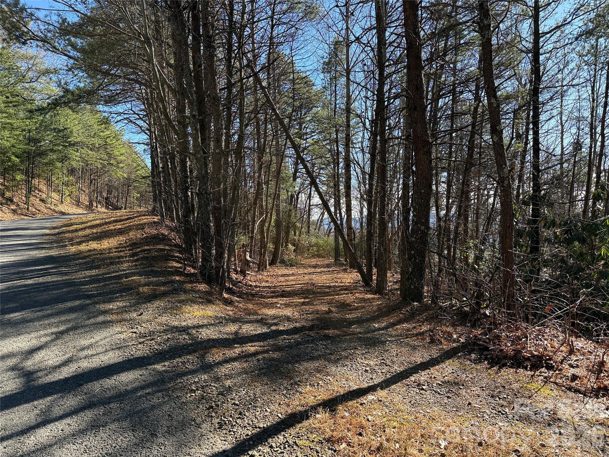 Tbd Bobcat Mountain Road 27 Property Photo 5