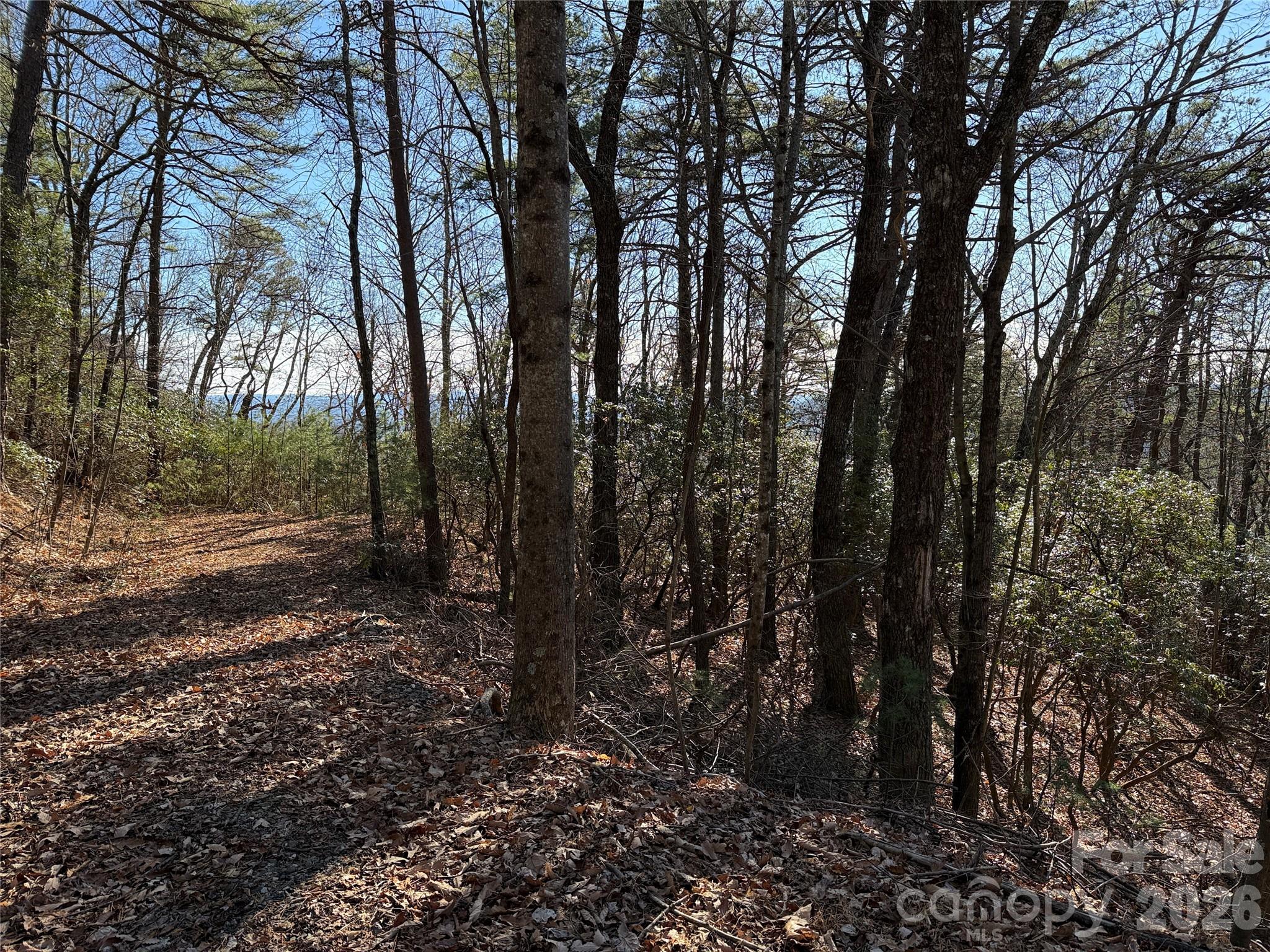 Tbd Bobcat Mountain Road 27 Property Photo 6