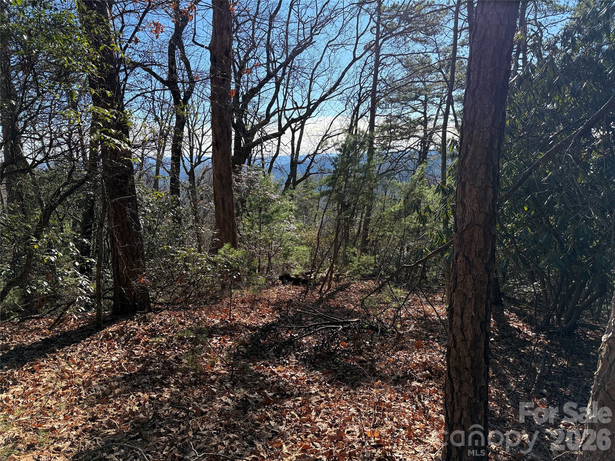 Tbd Bobcat Mountain Road 27 Property Photo 8