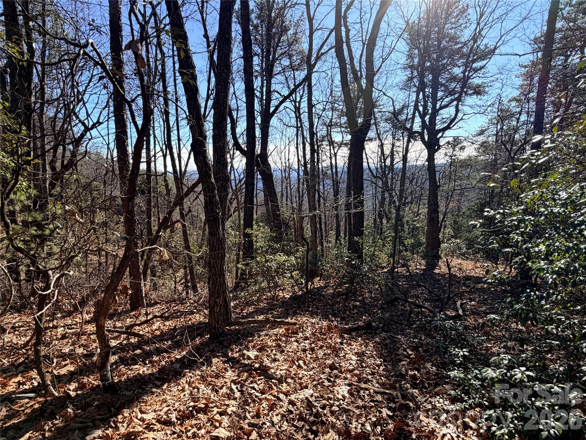 Tbd Bobcat Mountain Road 27 Property Photo 9