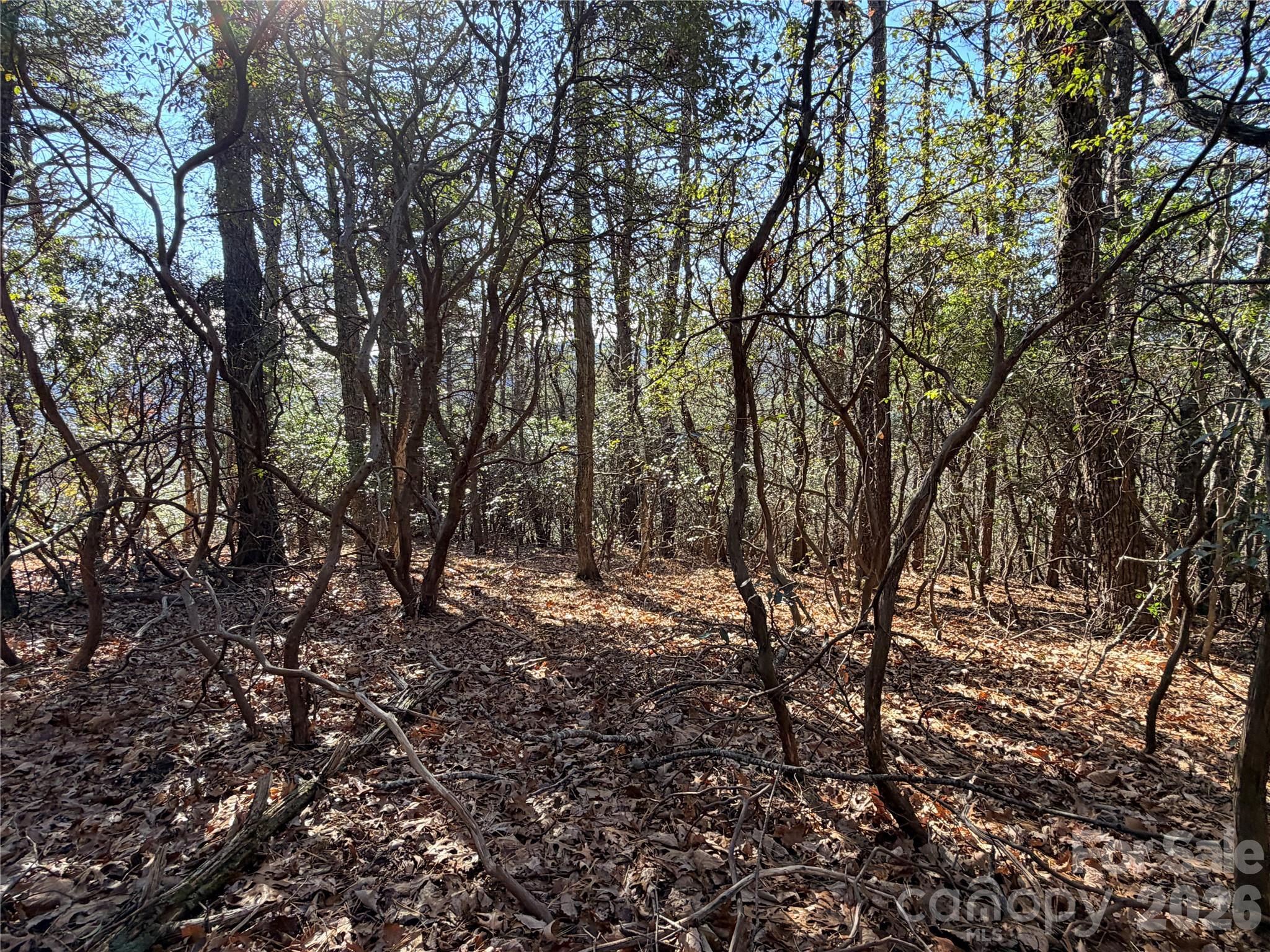 Tbd Bobcat Mountain Road 27 Property Photo 10