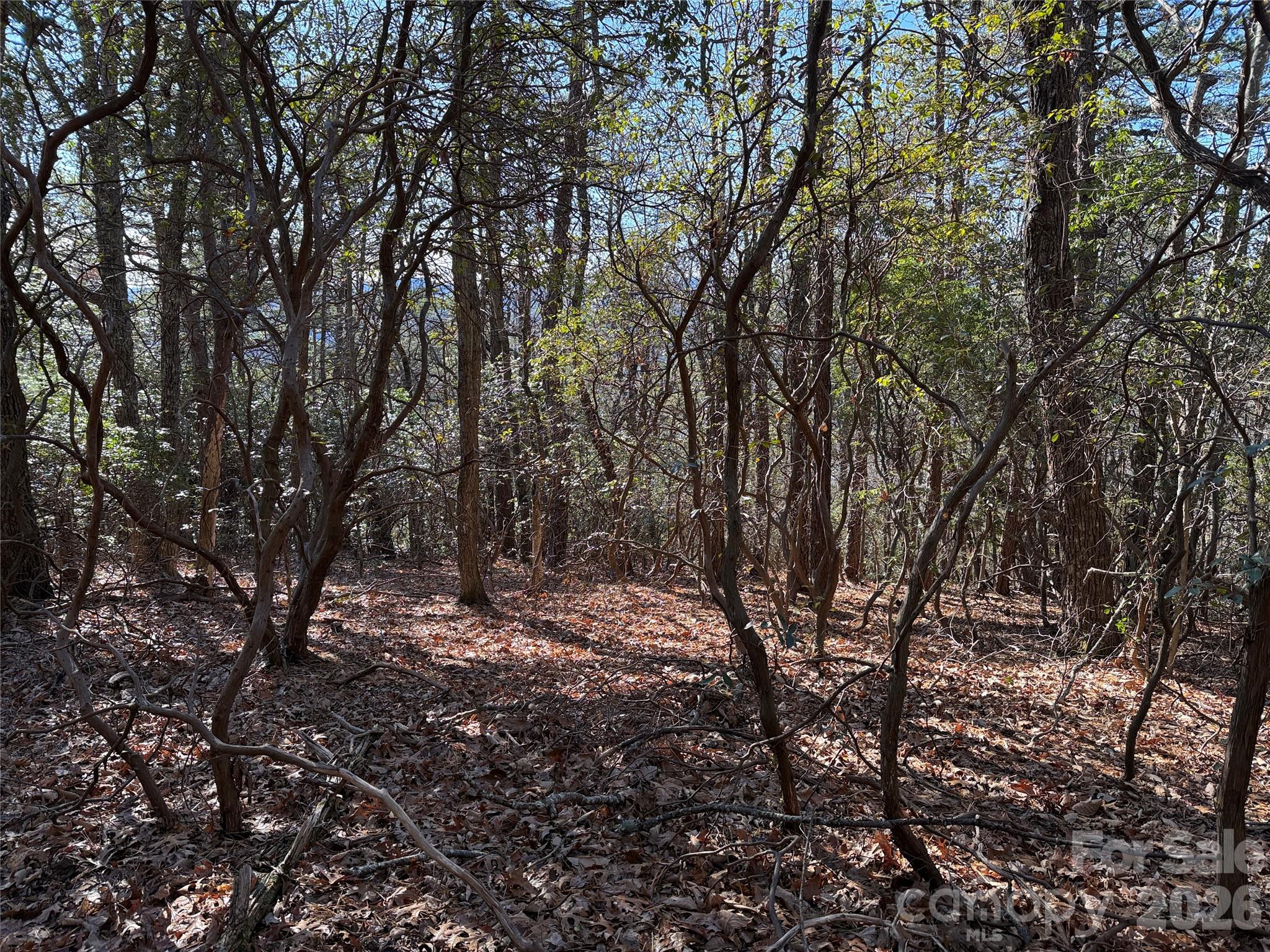 Tbd Bobcat Mountain Road 27 Property Photo 12