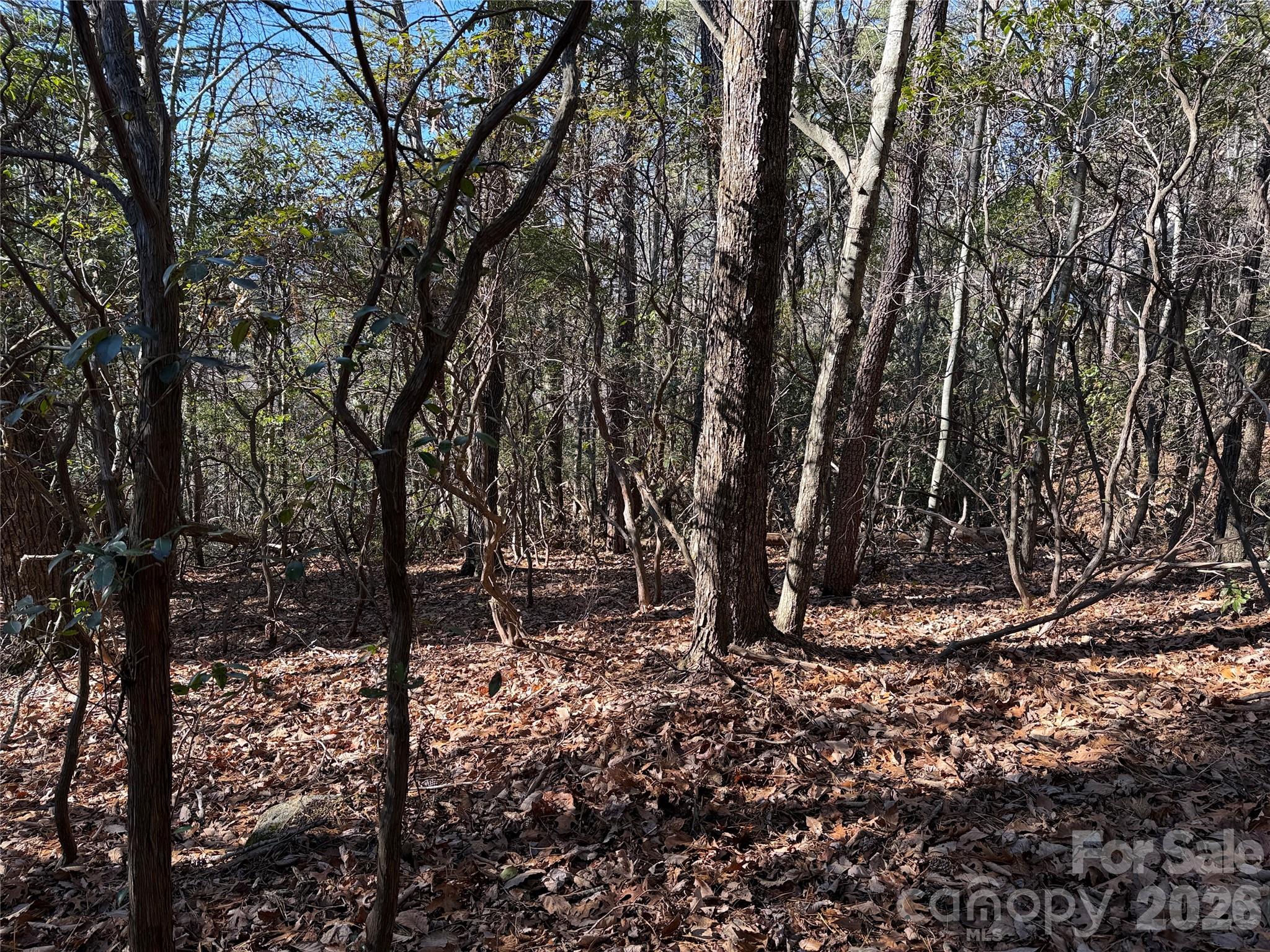 Tbd Bobcat Mountain Road 27 Property Photo 13