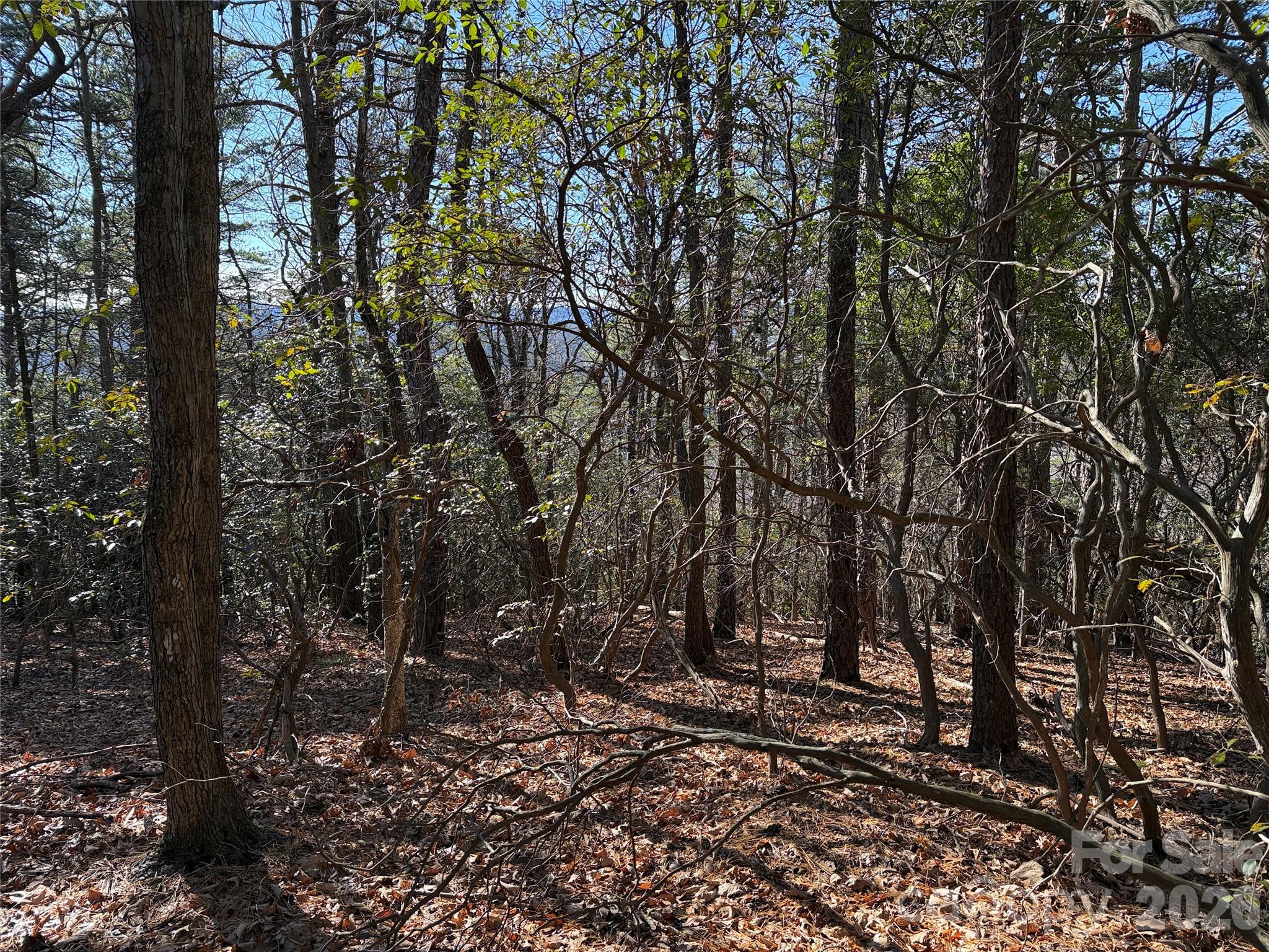 Tbd Bobcat Mountain Road 27 Property Photo 14