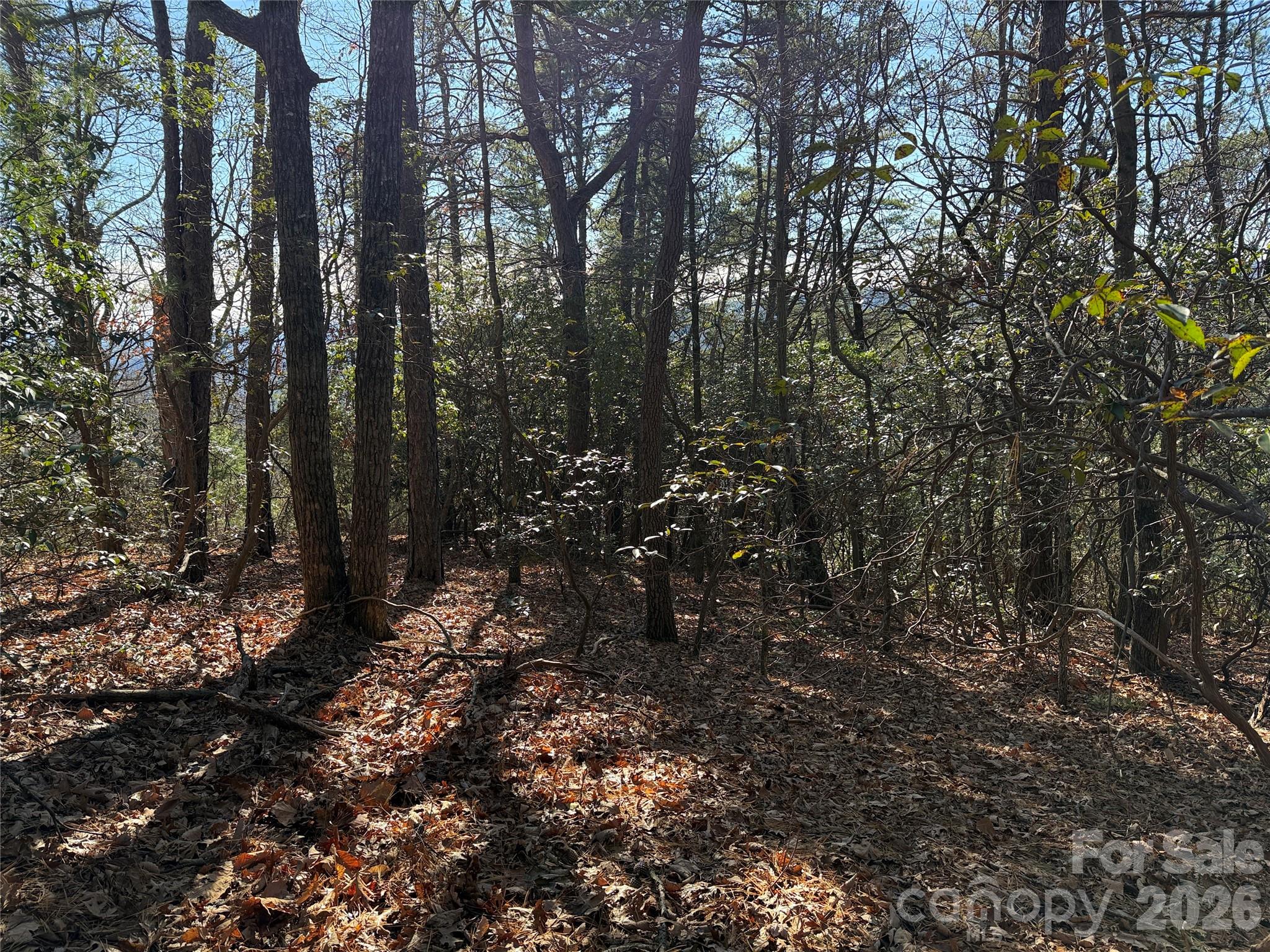 Tbd Bobcat Mountain Road 27 Property Photo 15
