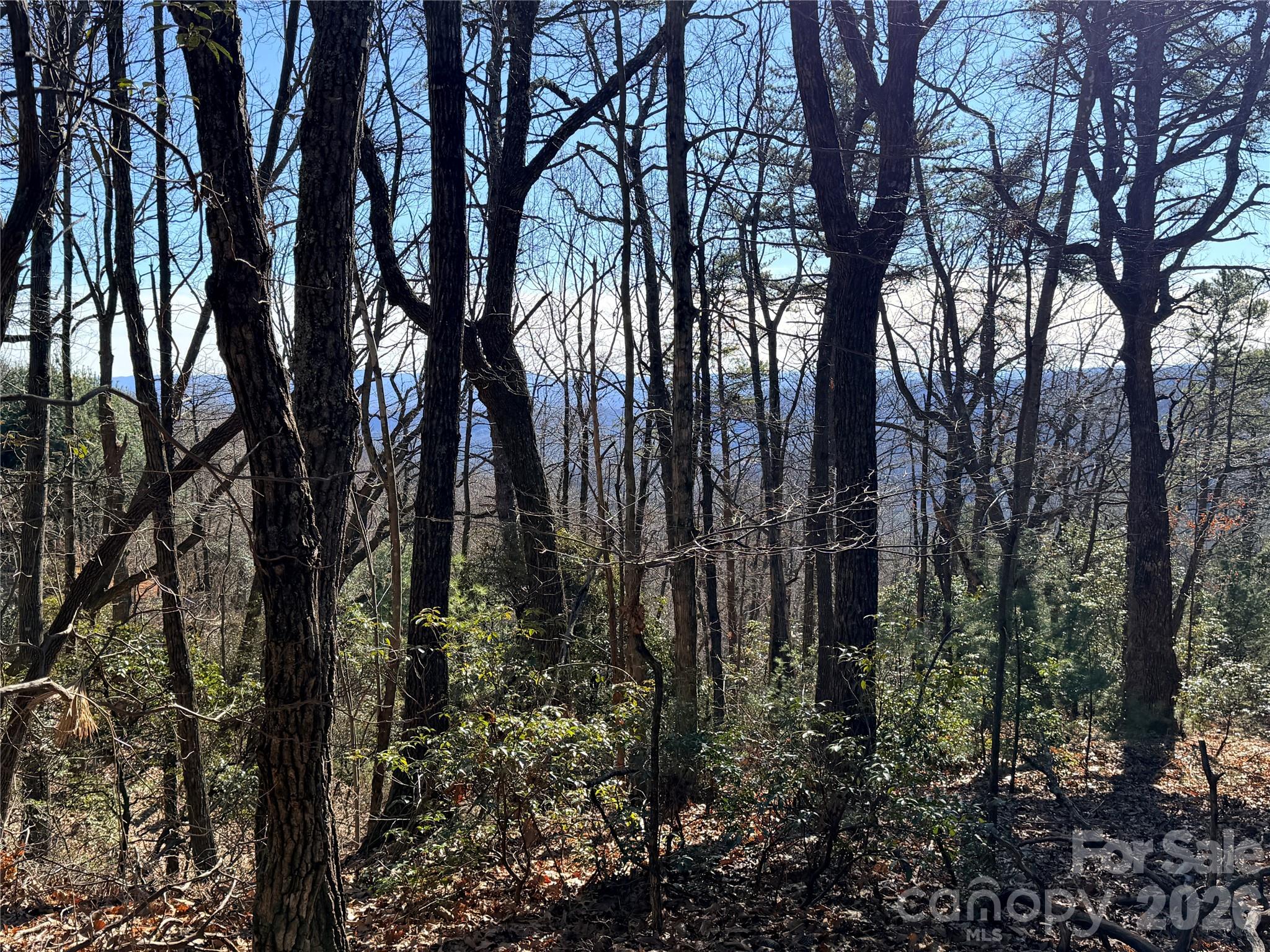 Tbd Bobcat Mountain Road 27 Property Photo 18