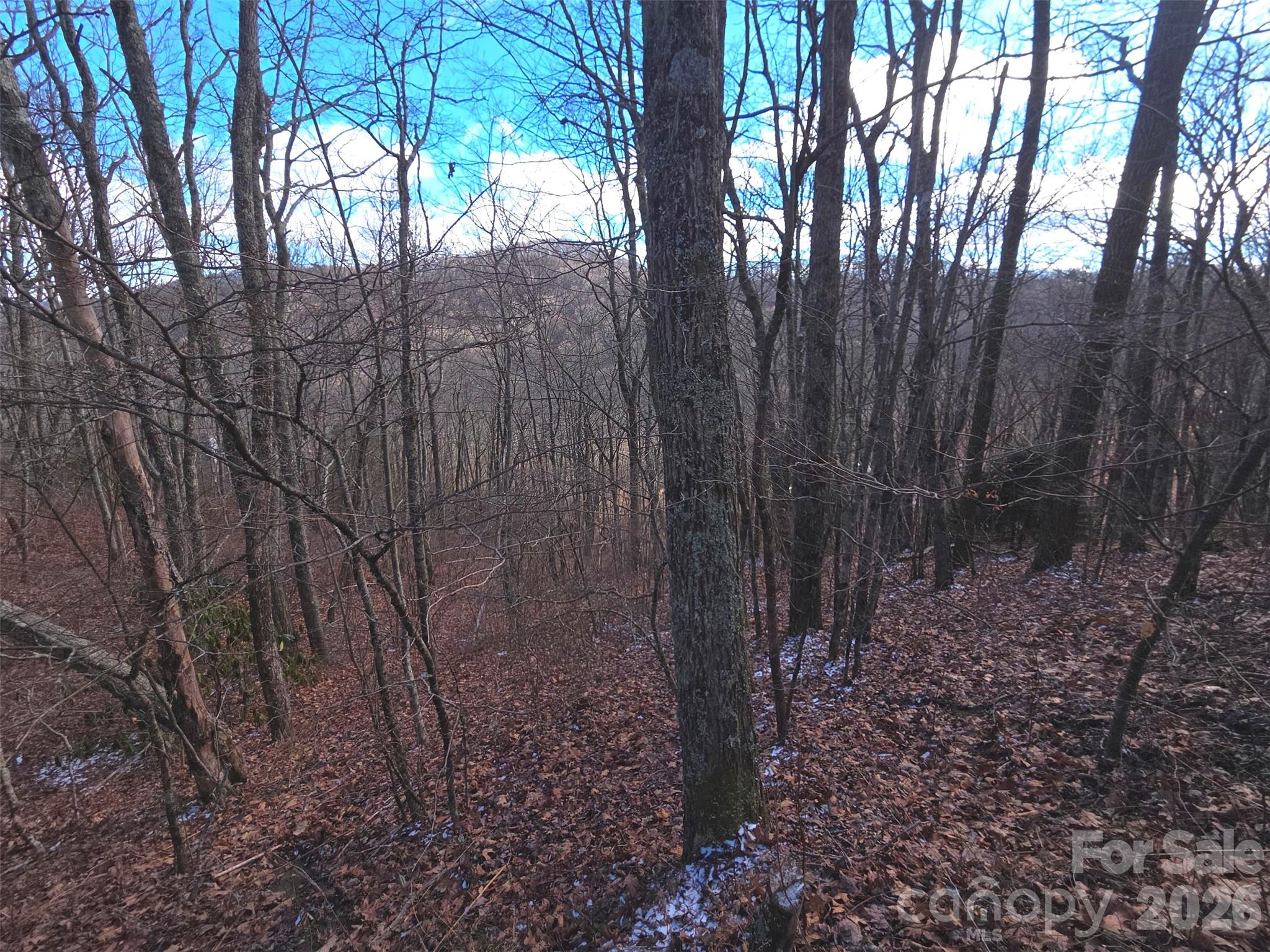 220 Sky Drive Pt-11 Property Photo 15