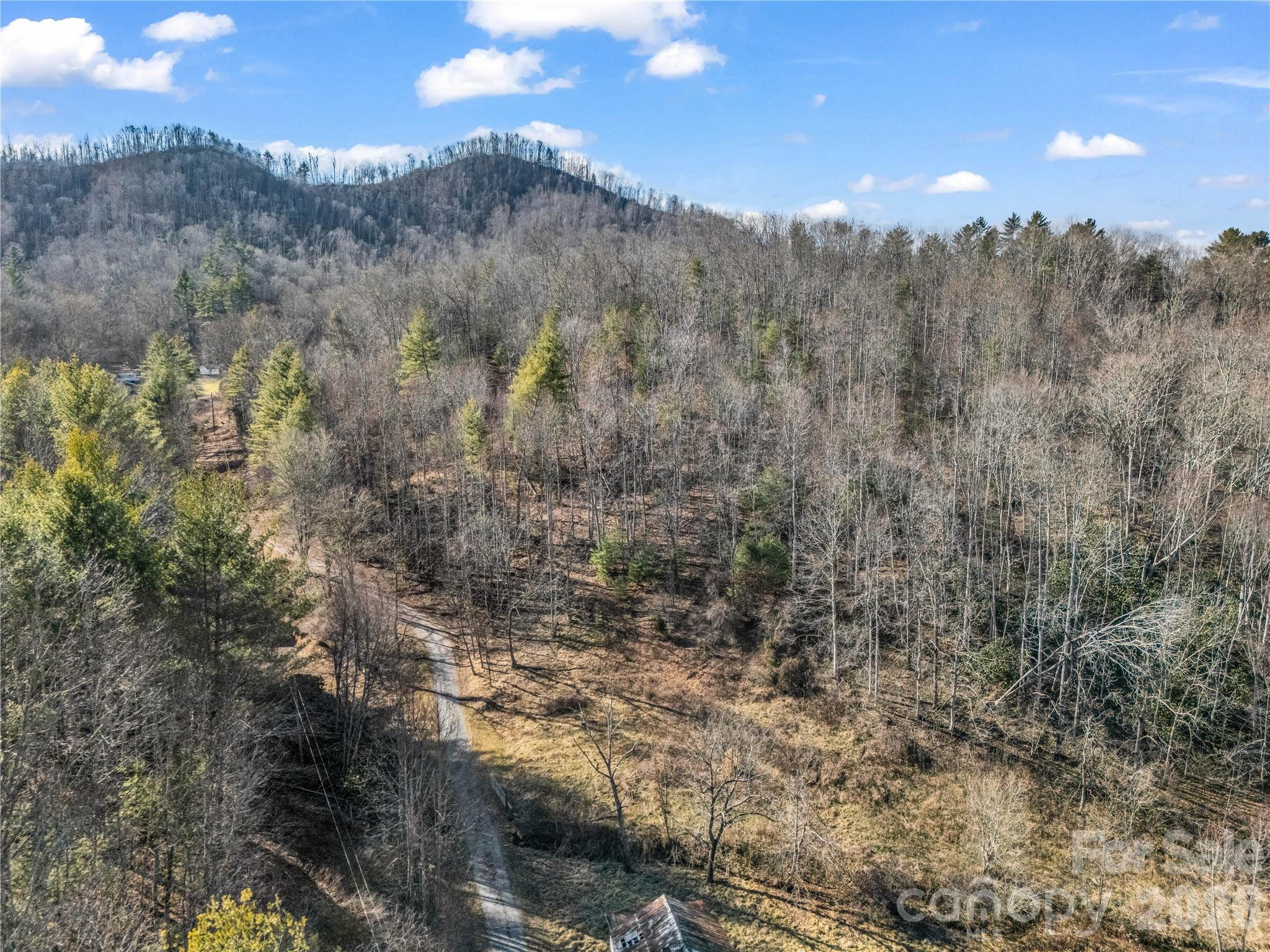 530 Mine Creek Road Property Photo 3
