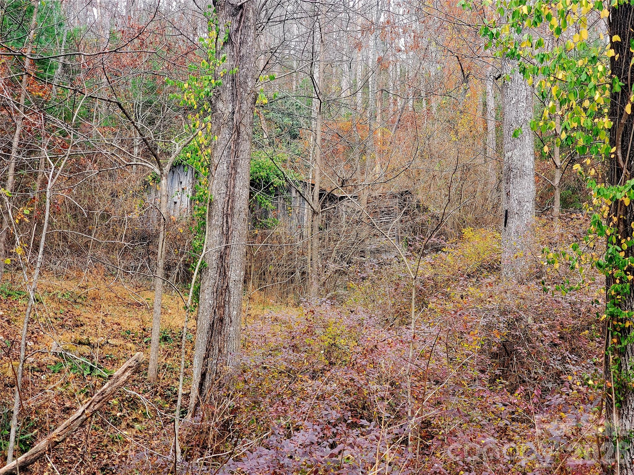 2701 Gouges Creek Road Property Photo 3