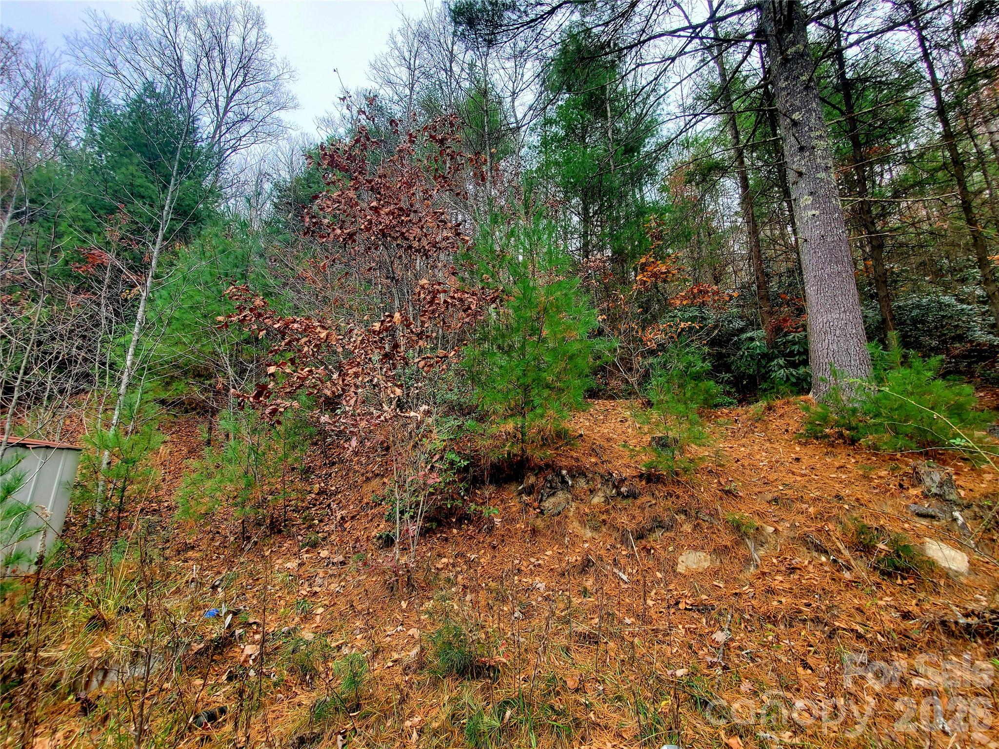 2701 Gouges Creek Road Property Photo 5