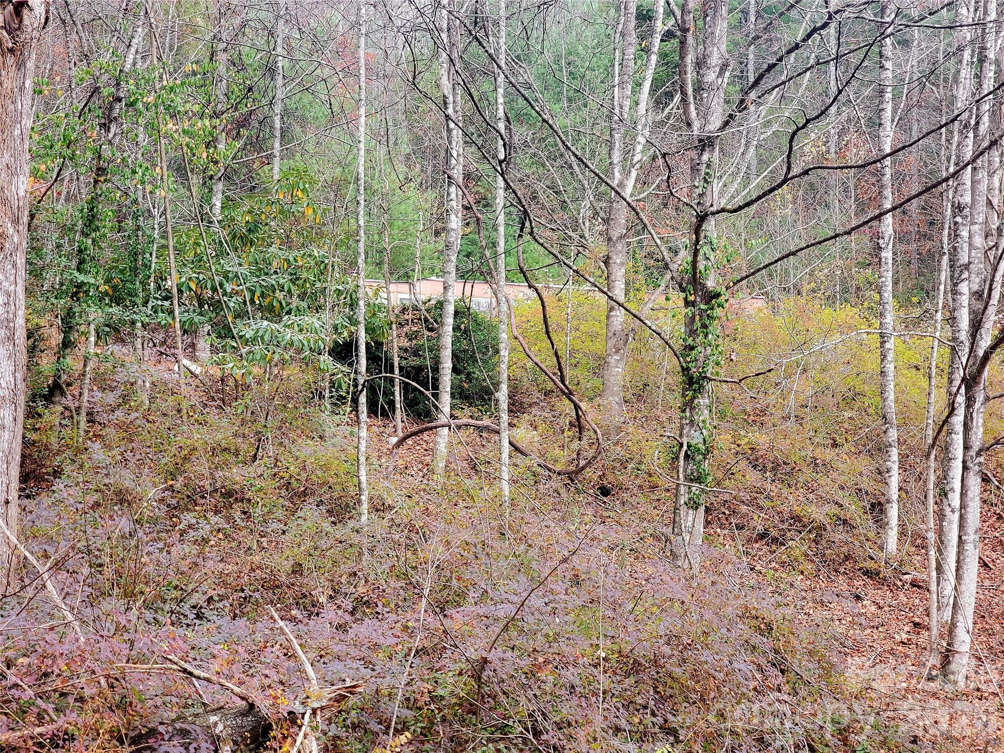 2701 Gouges Creek Road Property Photo 7