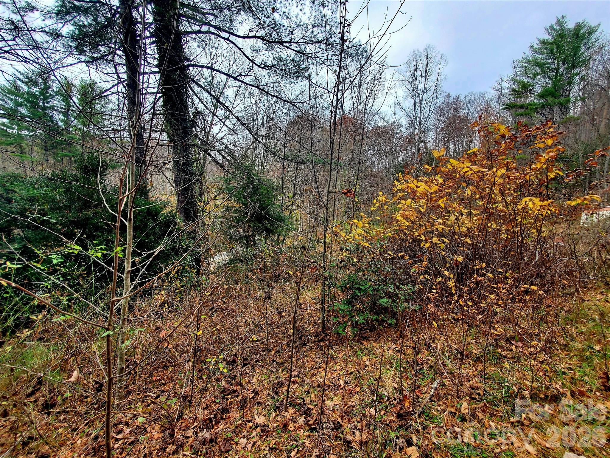 2701 Gouges Creek Road Property Photo 11