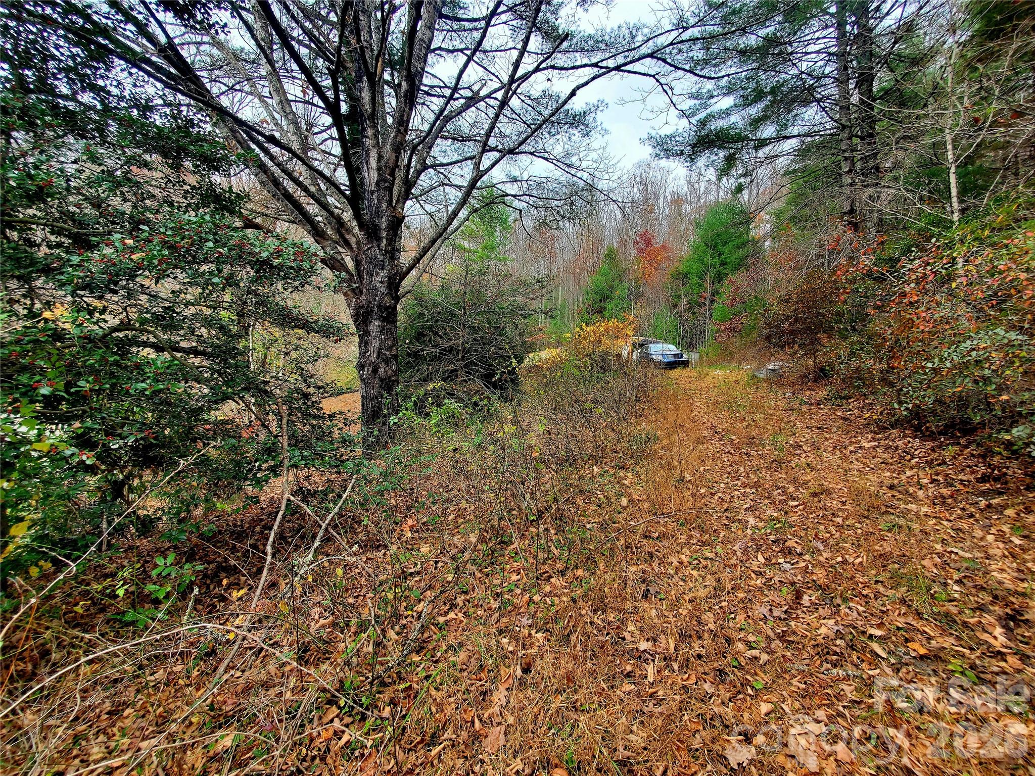 2701 Gouges Creek Road Property Photo 12