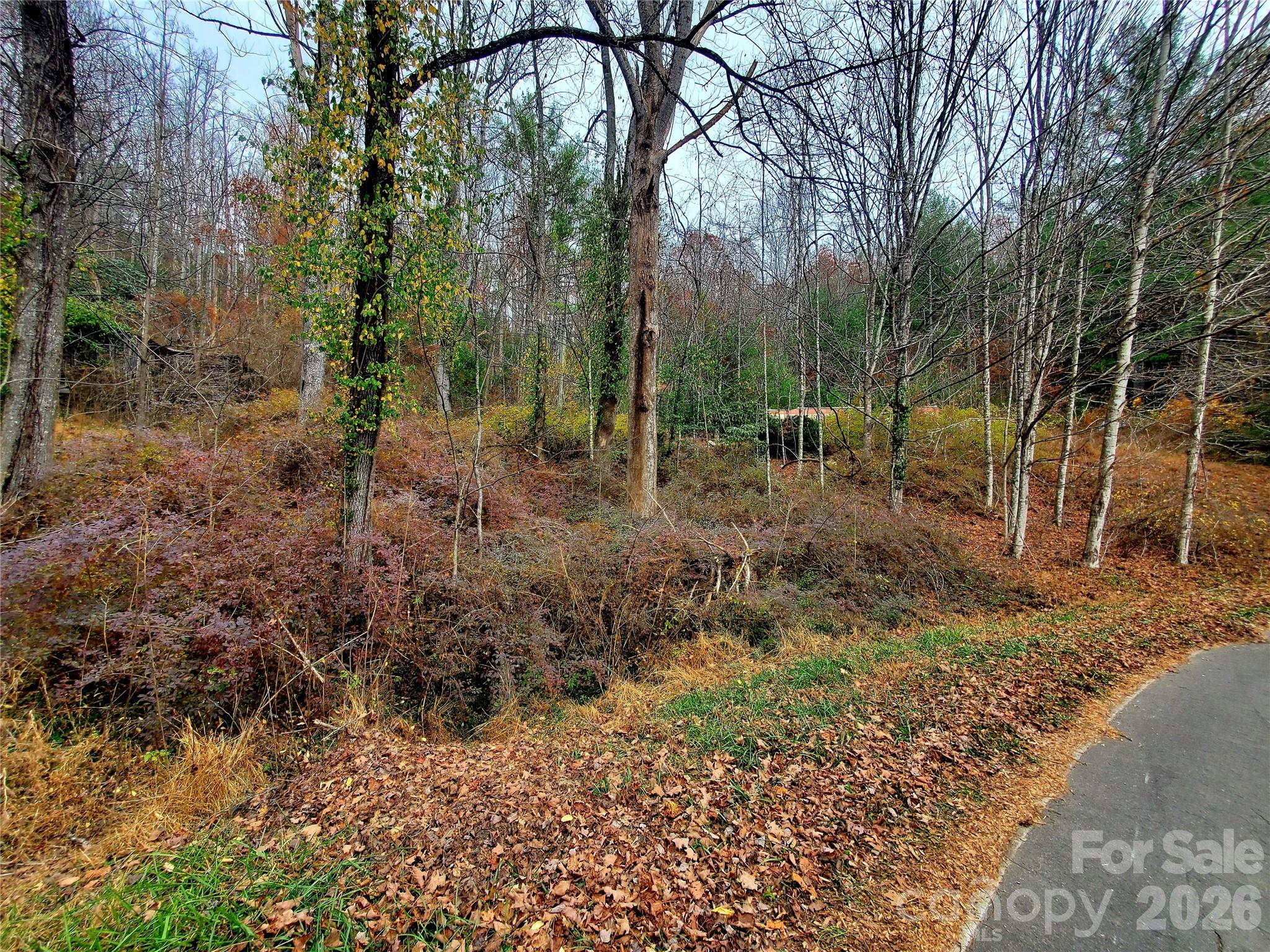 2701 Gouges Creek Road Property Photo 15