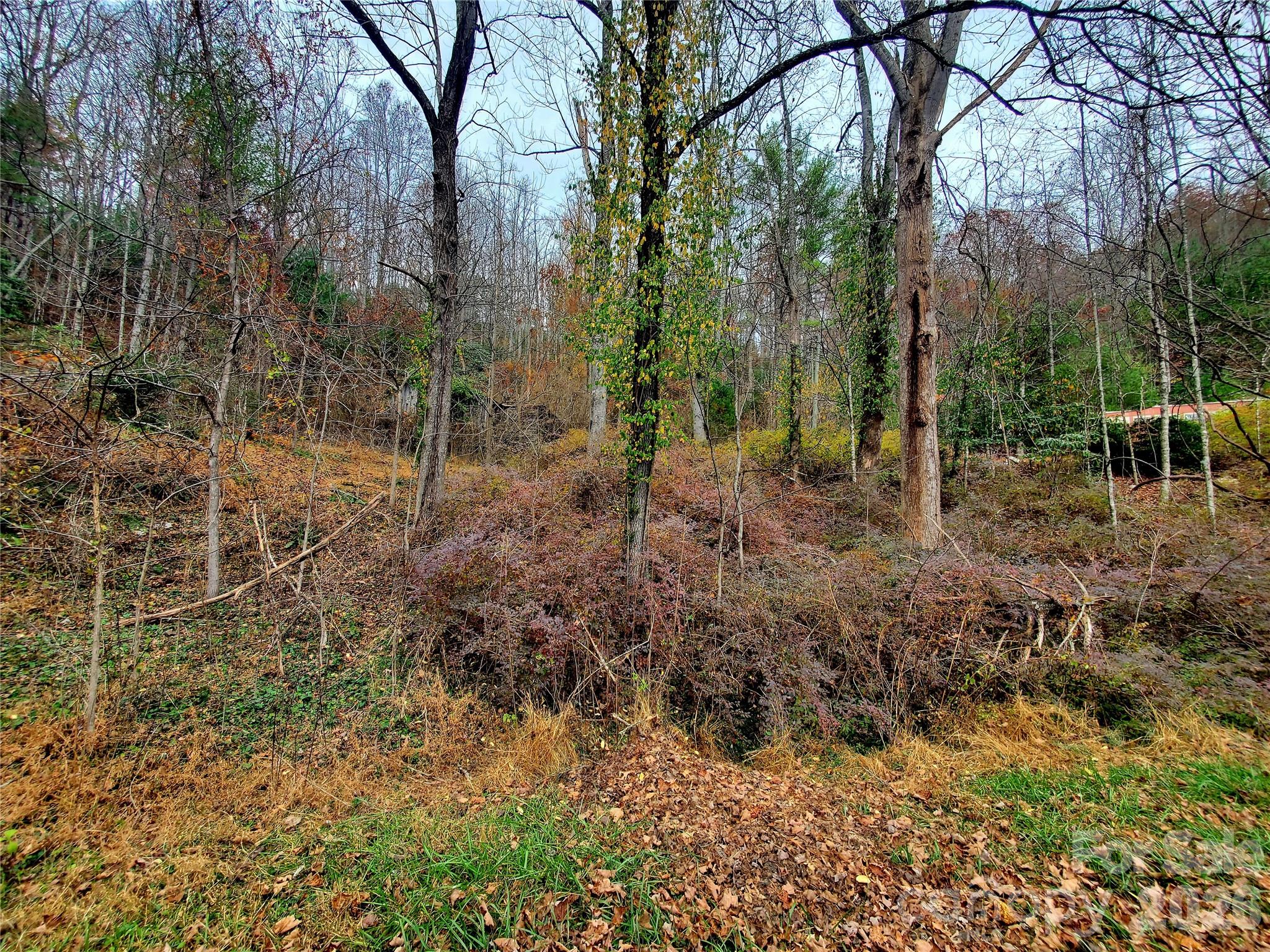2701 Gouges Creek Road Property Photo 16