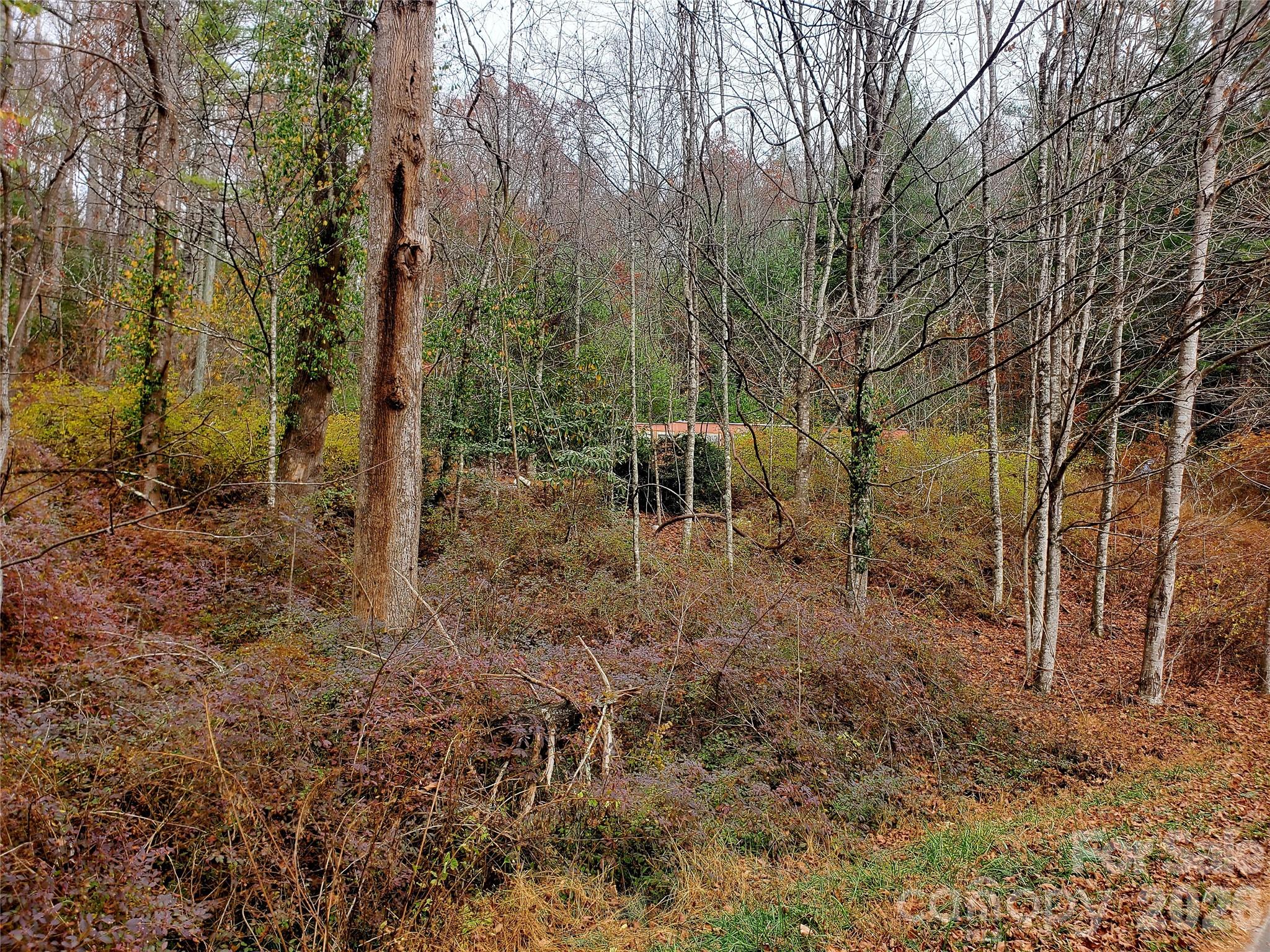 2701 Gouges Creek Road Property Photo 18