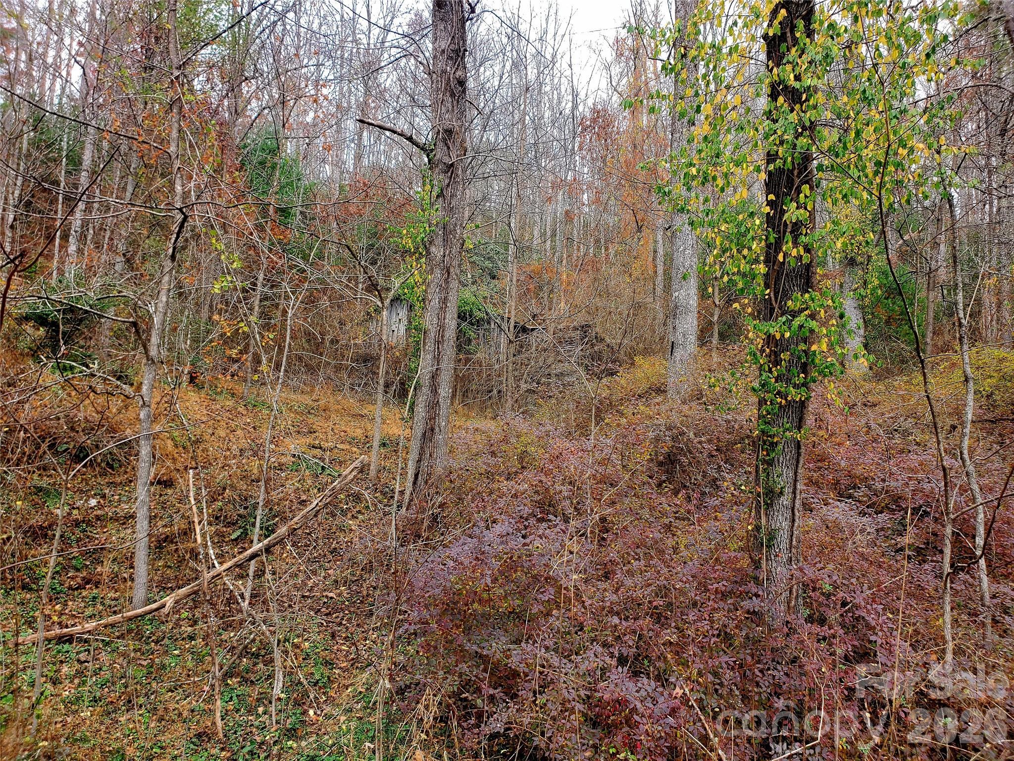 2701 Gouges Creek Road Property Photo 19