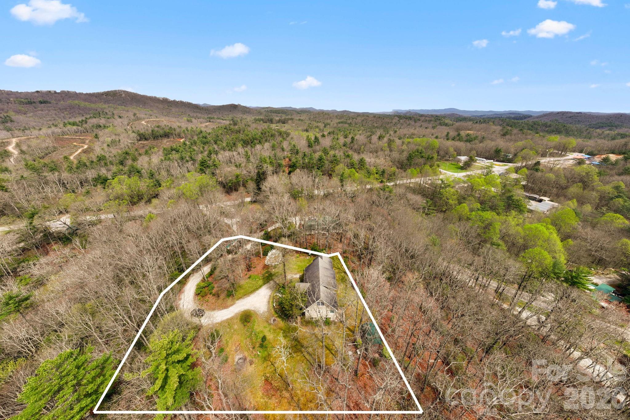 13705 Rosman Highway Property Photo 4