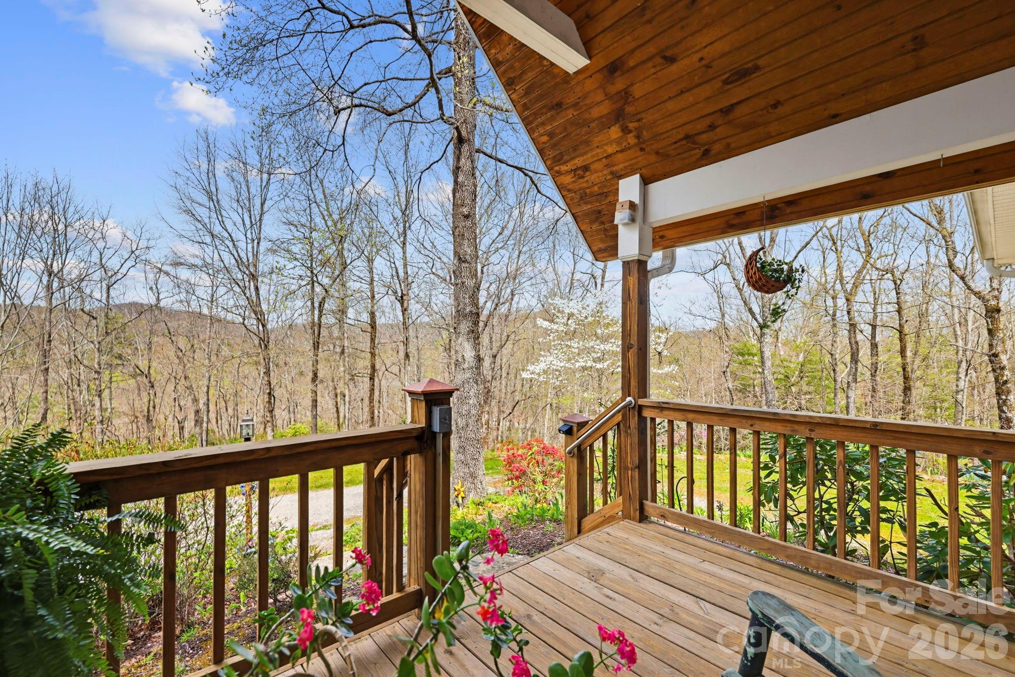 13705 Rosman Highway Property Photo 8