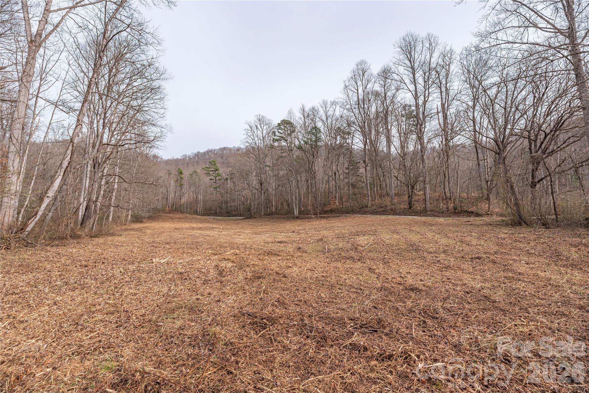 00 Carver Mountain Valley Property Photo 1