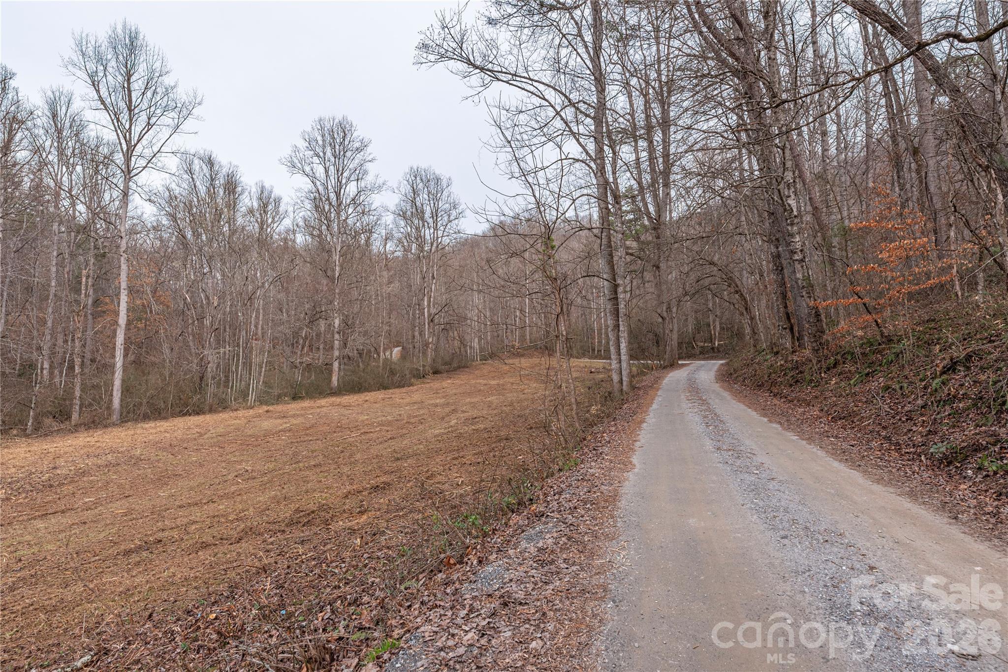 00 Carver Mountain Valley Property Photo 2