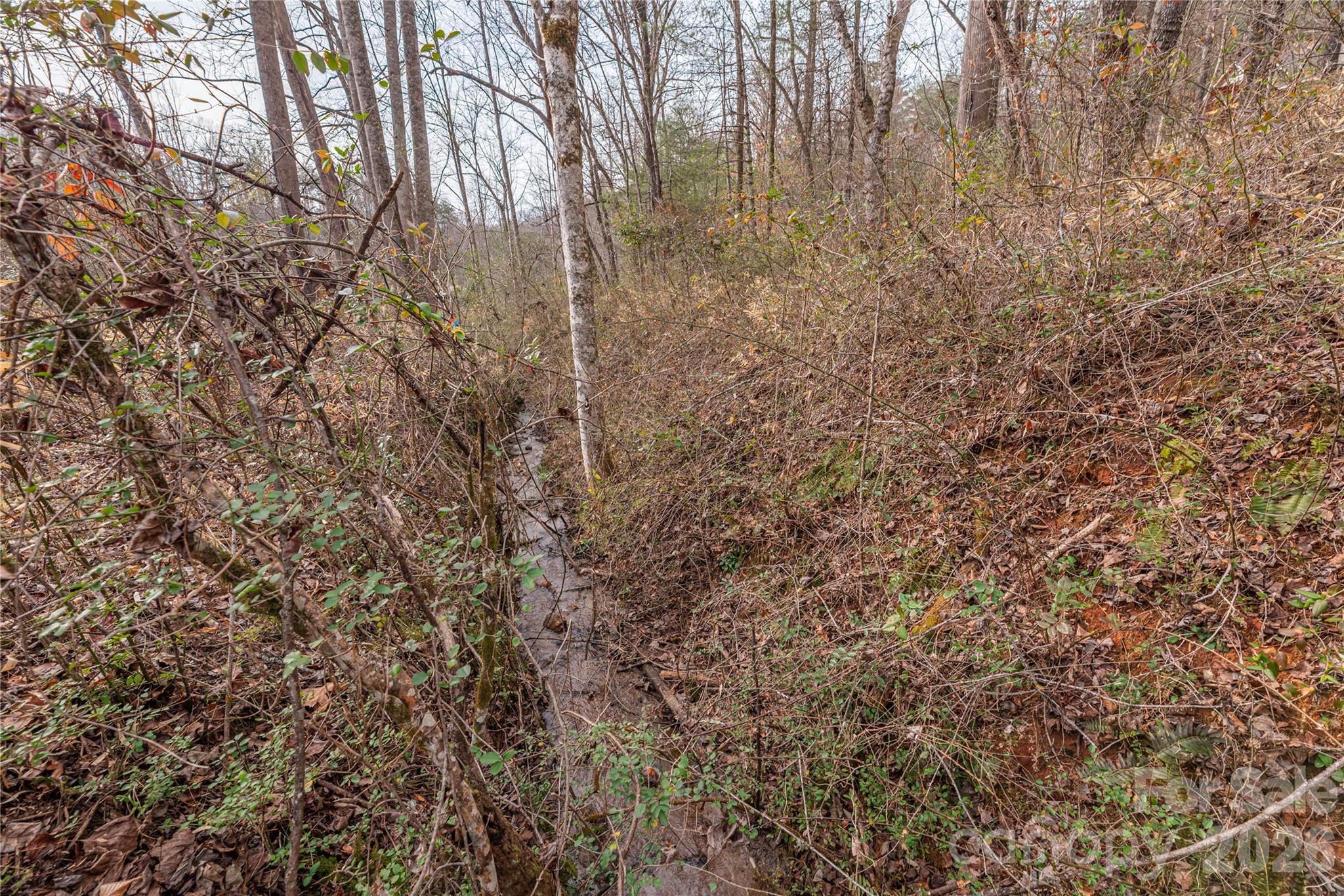 00 Carver Mountain Valley Property Photo 3