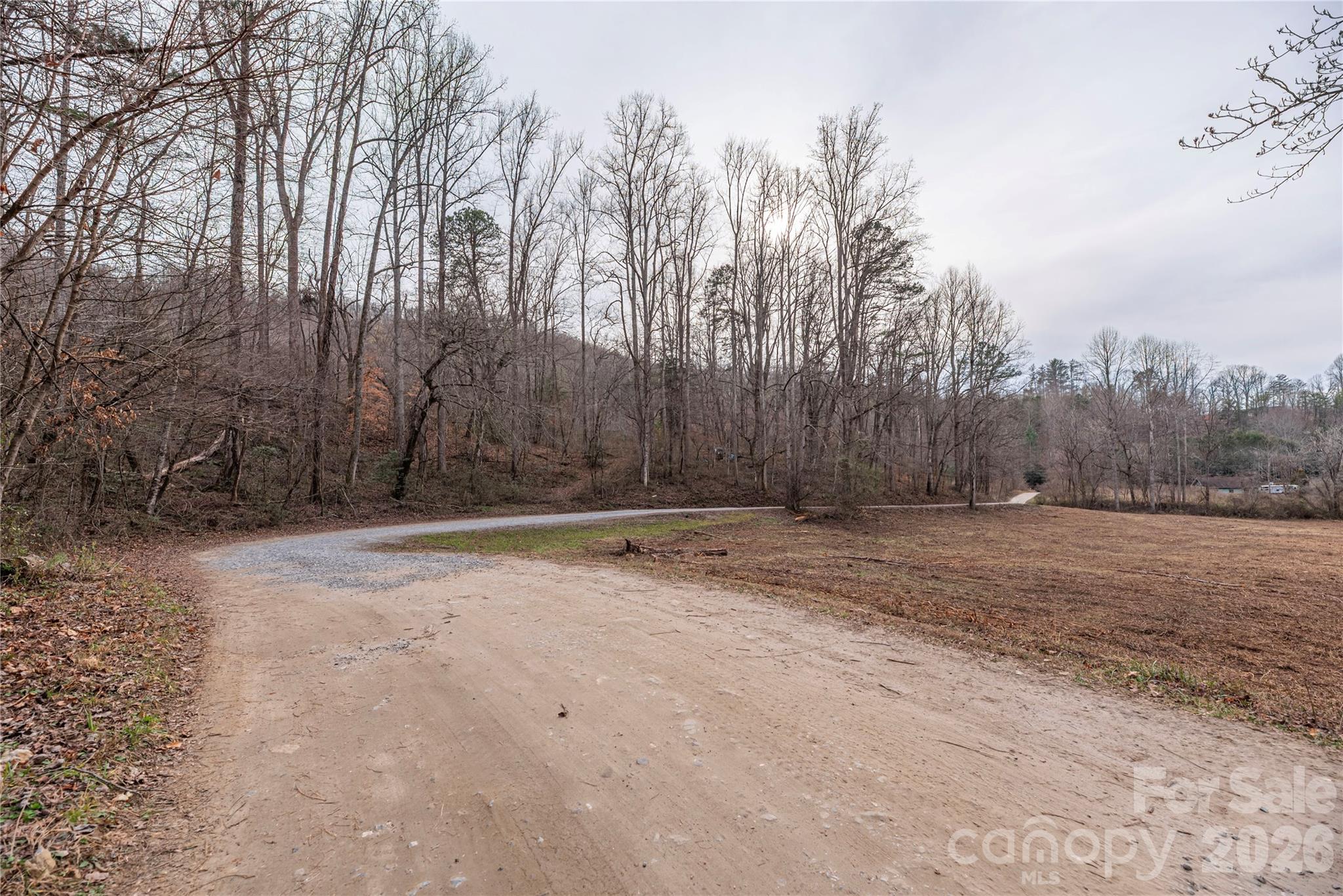 00 Carver Mountain Valley Property Photo 4