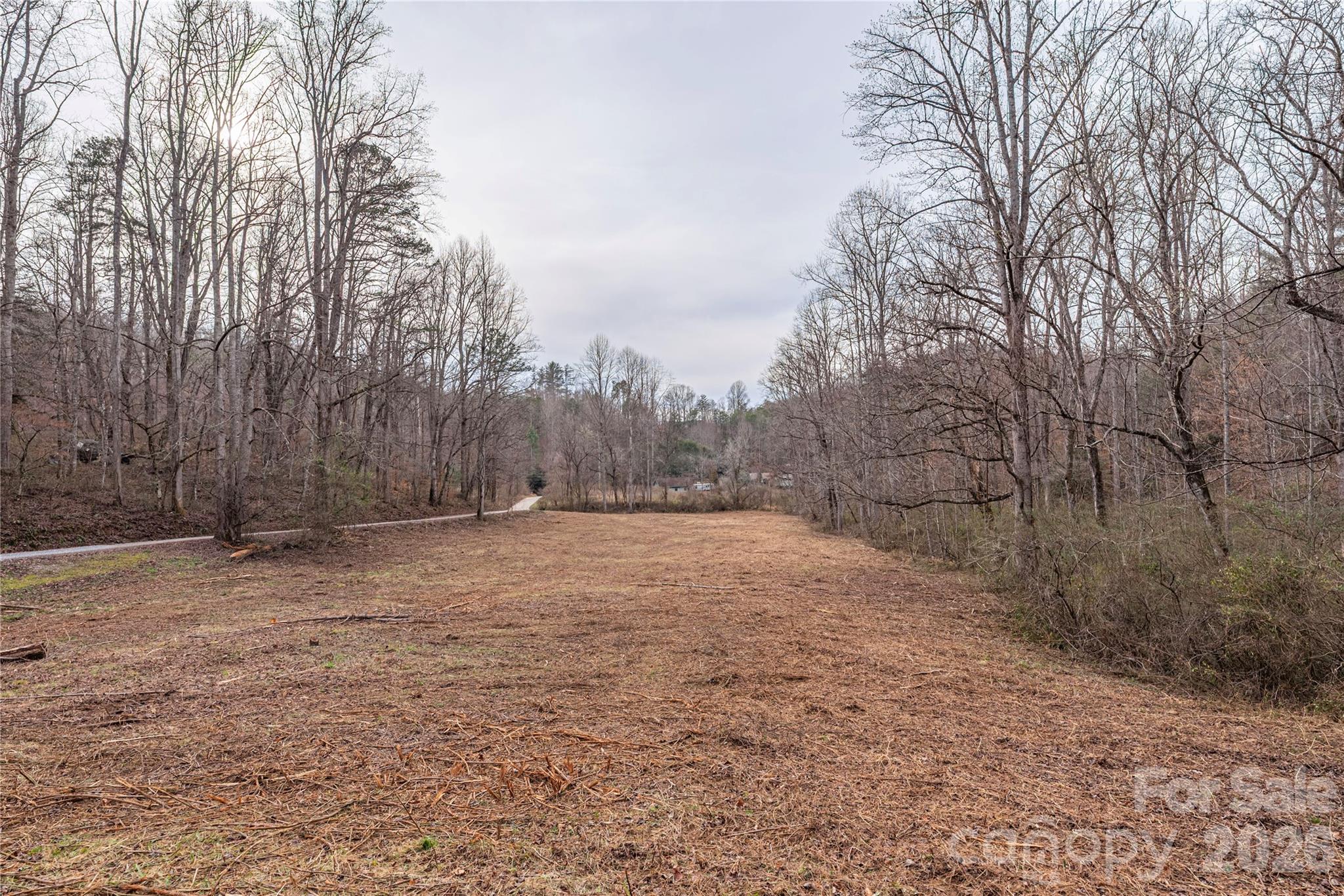 00 Carver Mountain Valley Property Photo 5
