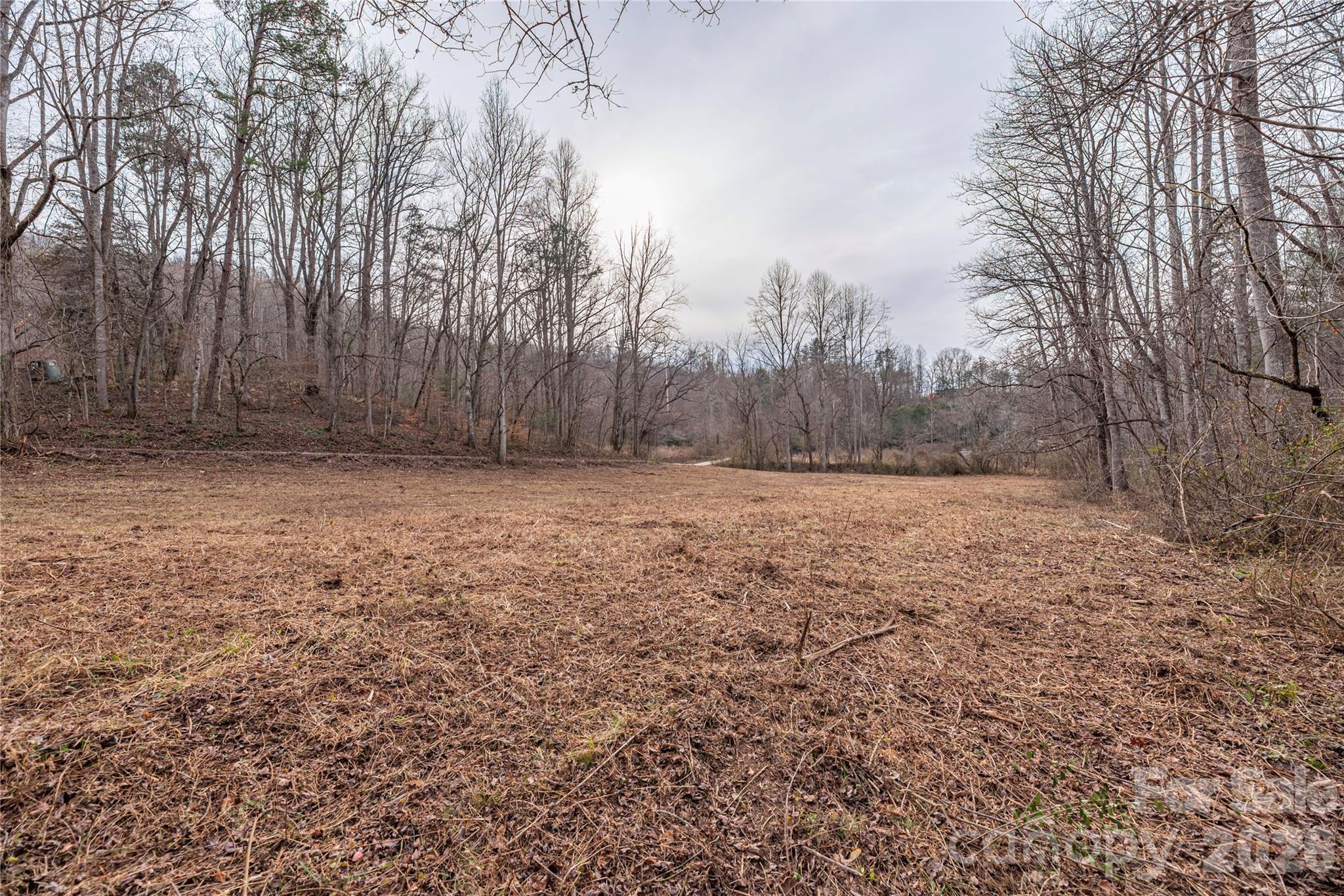 00 Carver Mountain Valley Property Photo 6