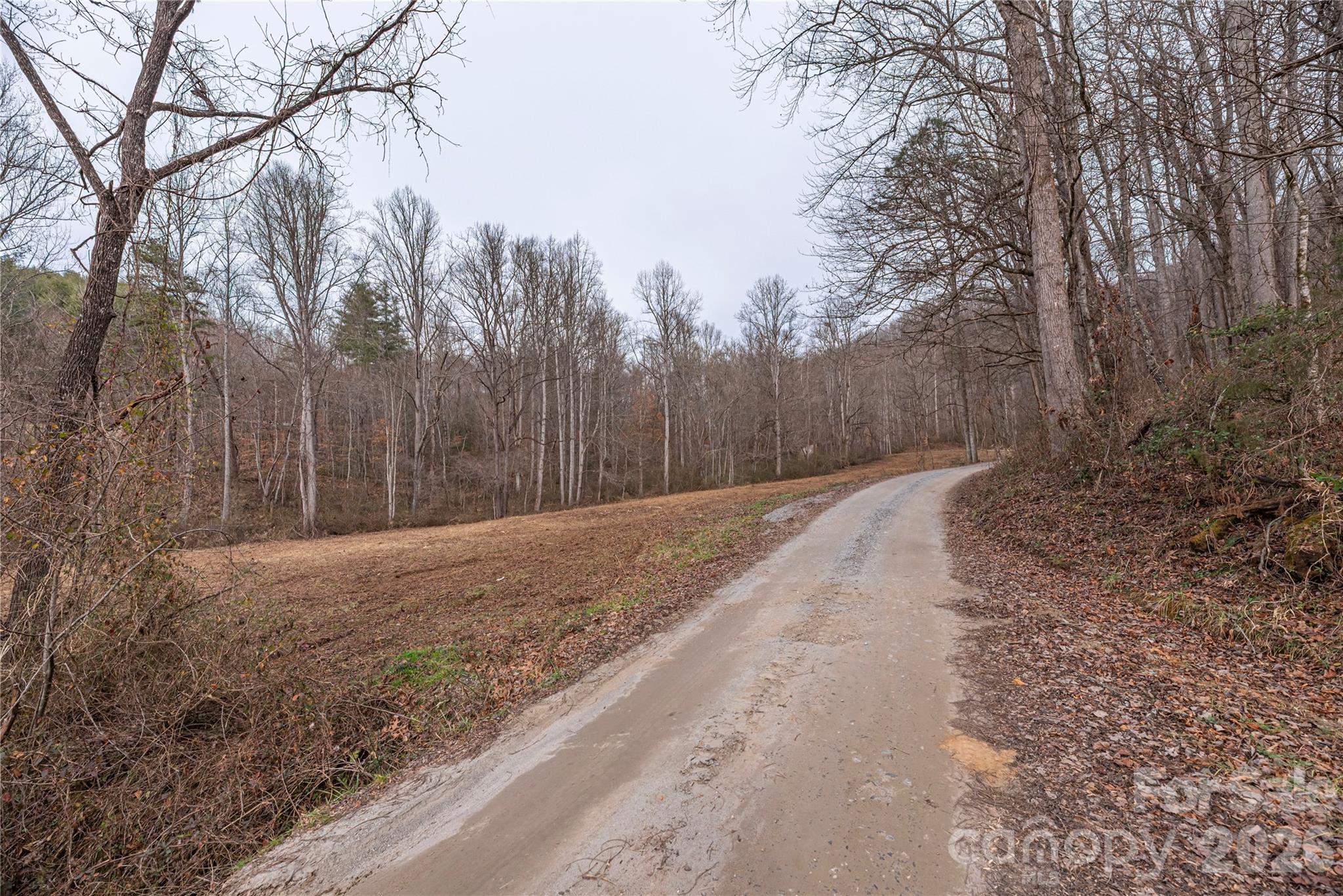 00 Carver Mountain Valley Property Photo 11