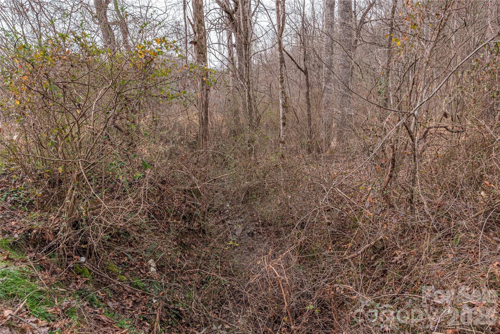00 Carver Mountain Valley Property Photo 12