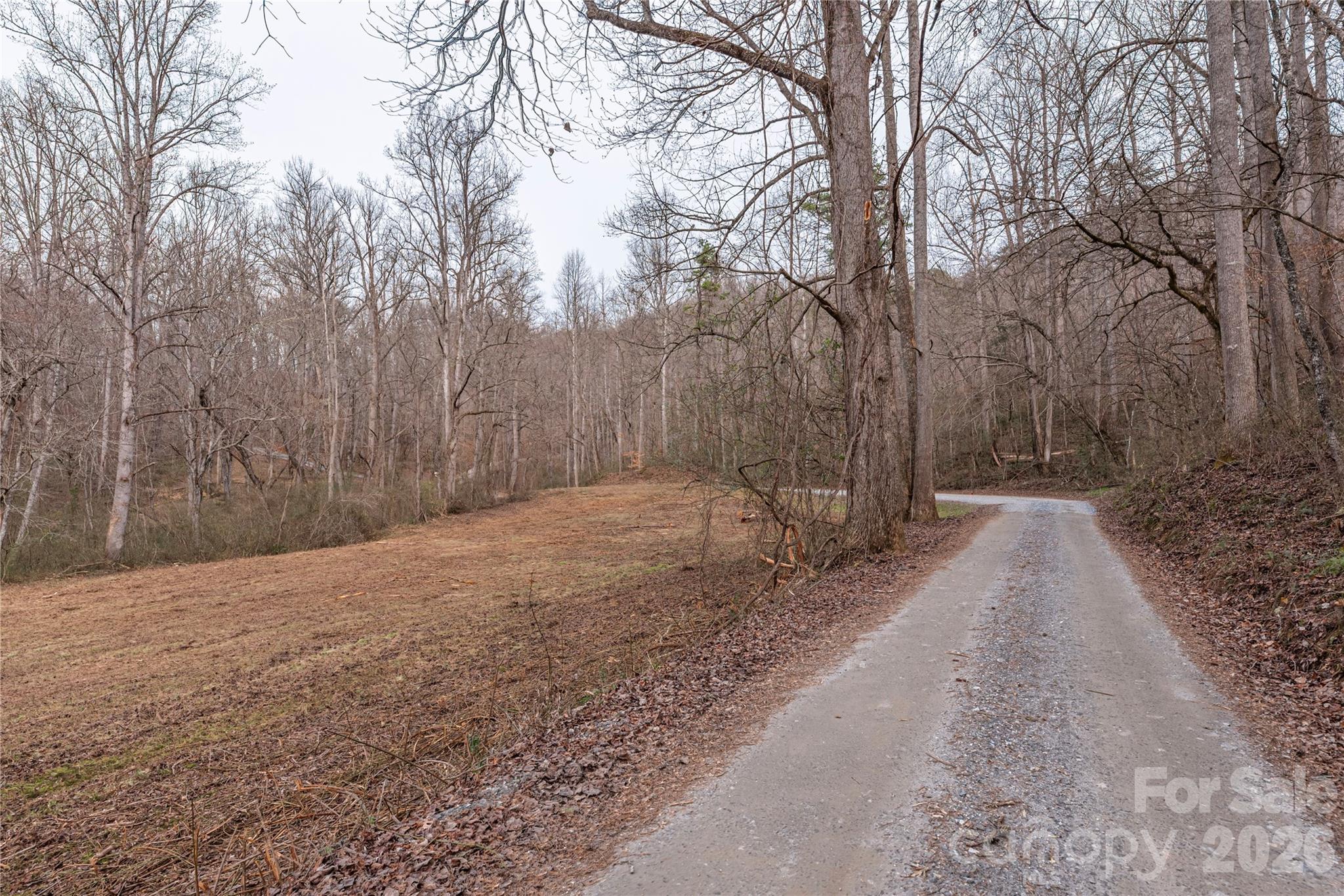 00 Carver Mountain Valley Property Photo 13