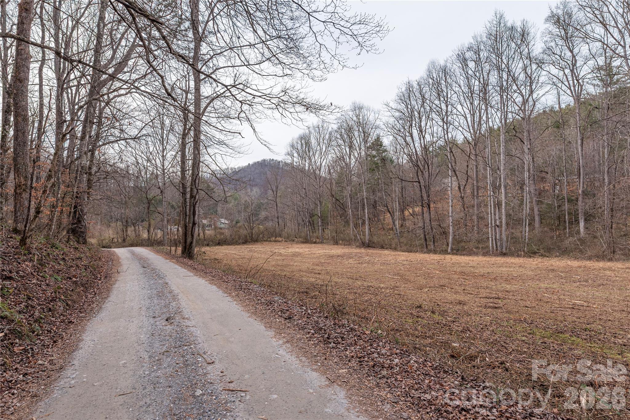 00 Carver Mountain Valley Property Photo 14