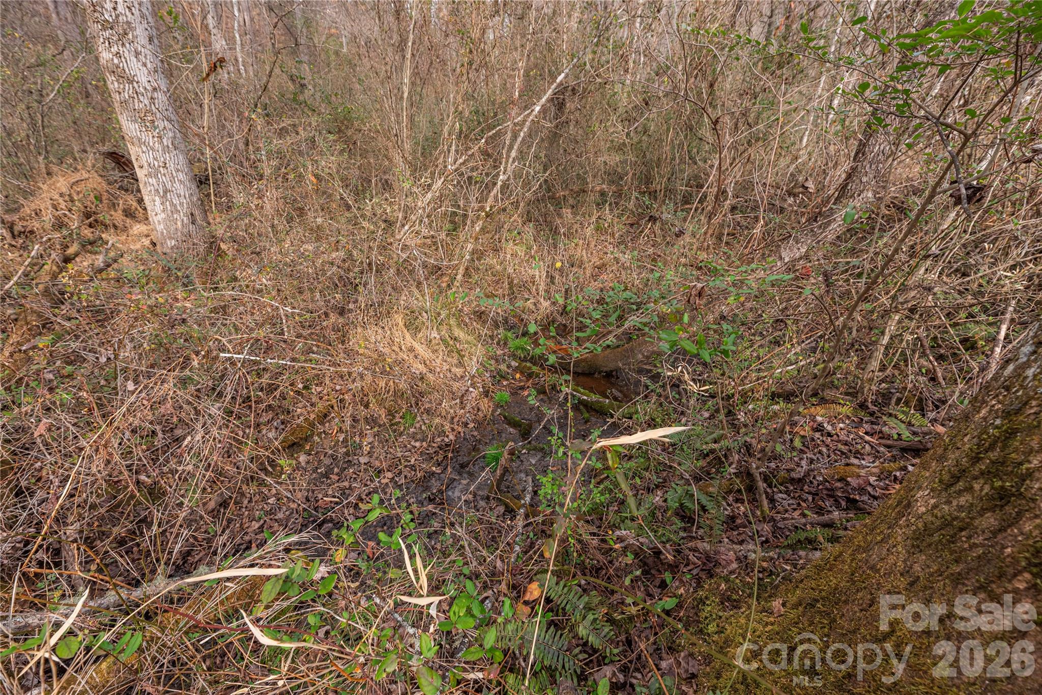00 Carver Mountain Valley Property Photo 16