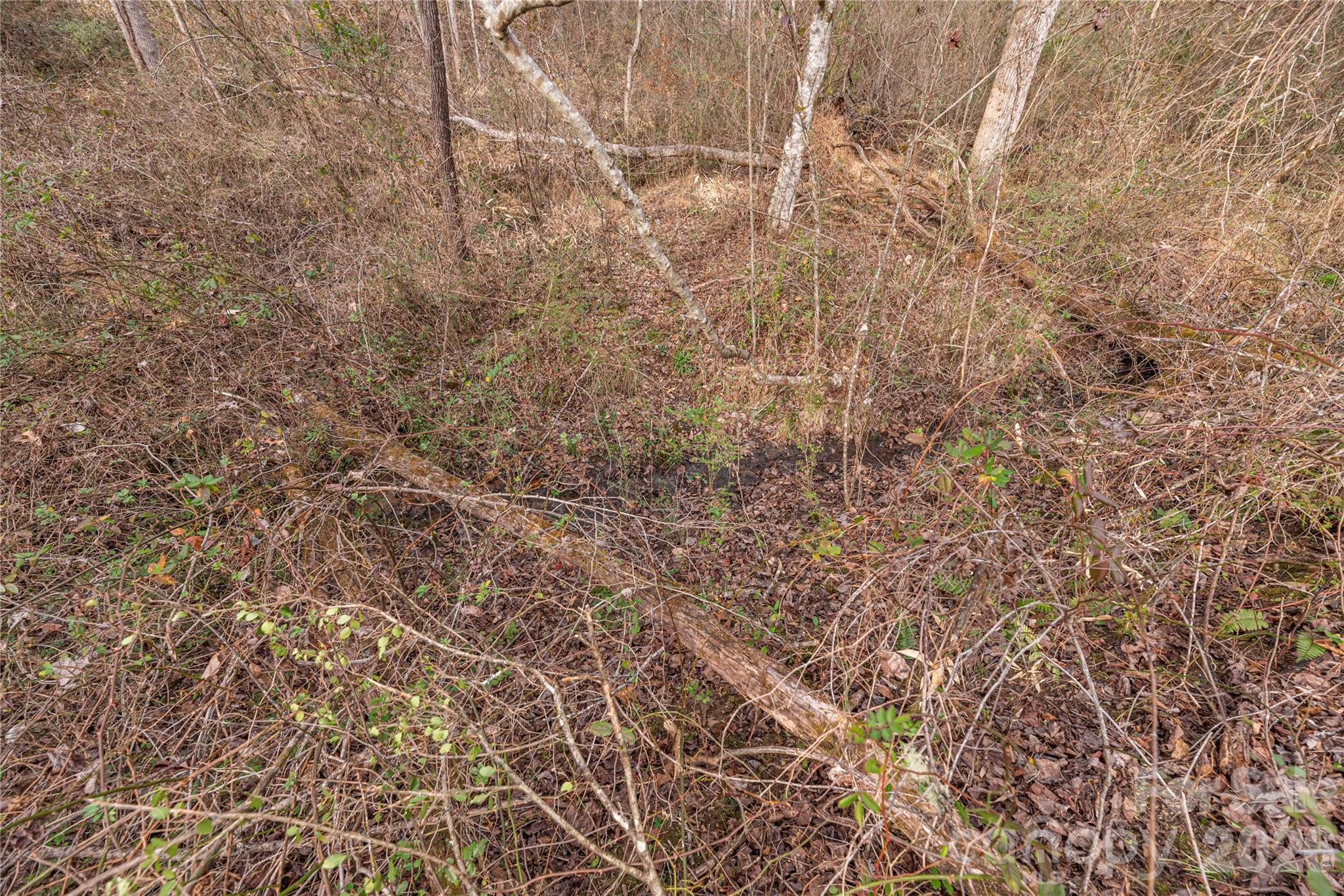 00 Carver Mountain Valley Property Photo 17