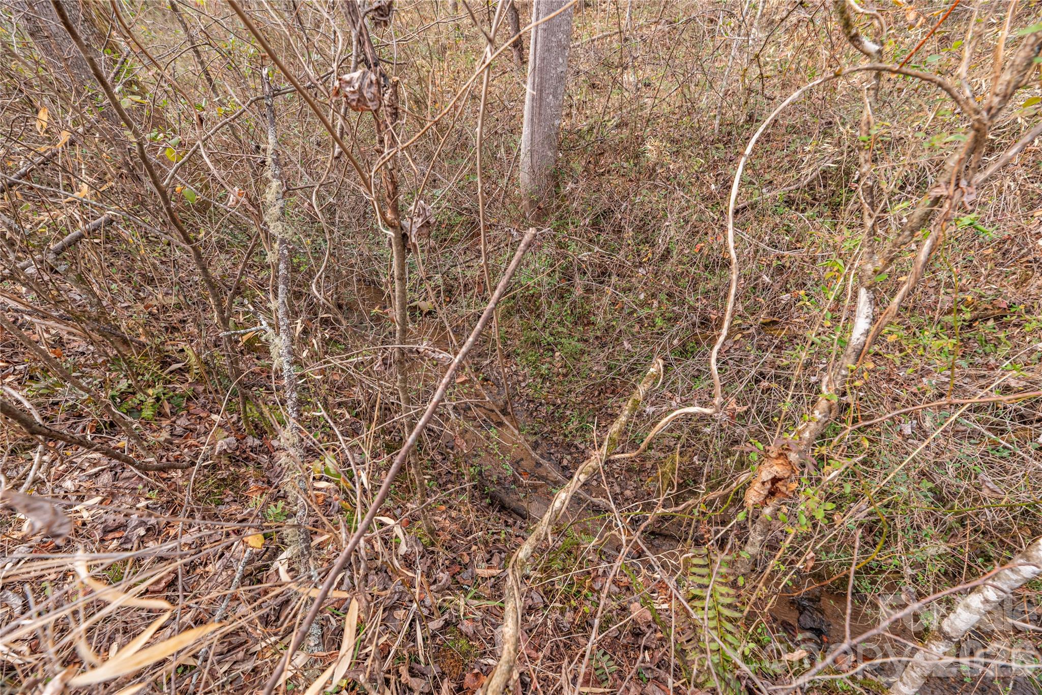 00 Carver Mountain Valley Property Photo 18