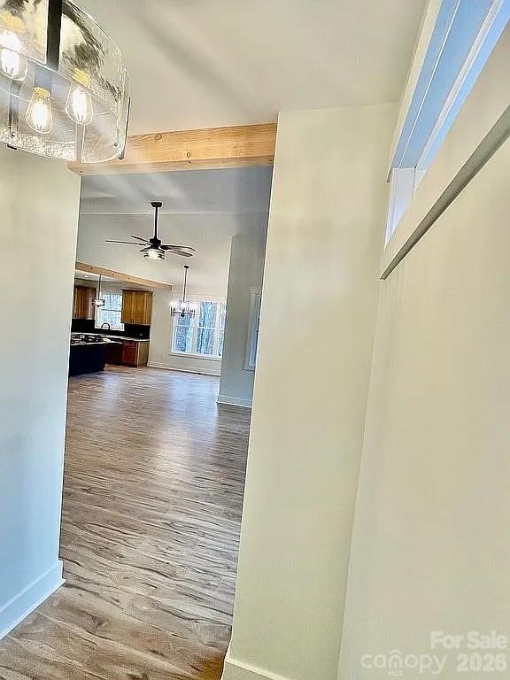 853 Spring Lake Drive Property Photo 15