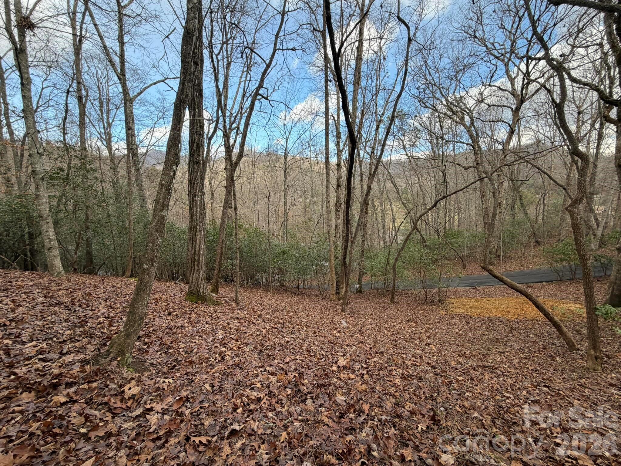 0 Crescent Ridge Property Photo 1