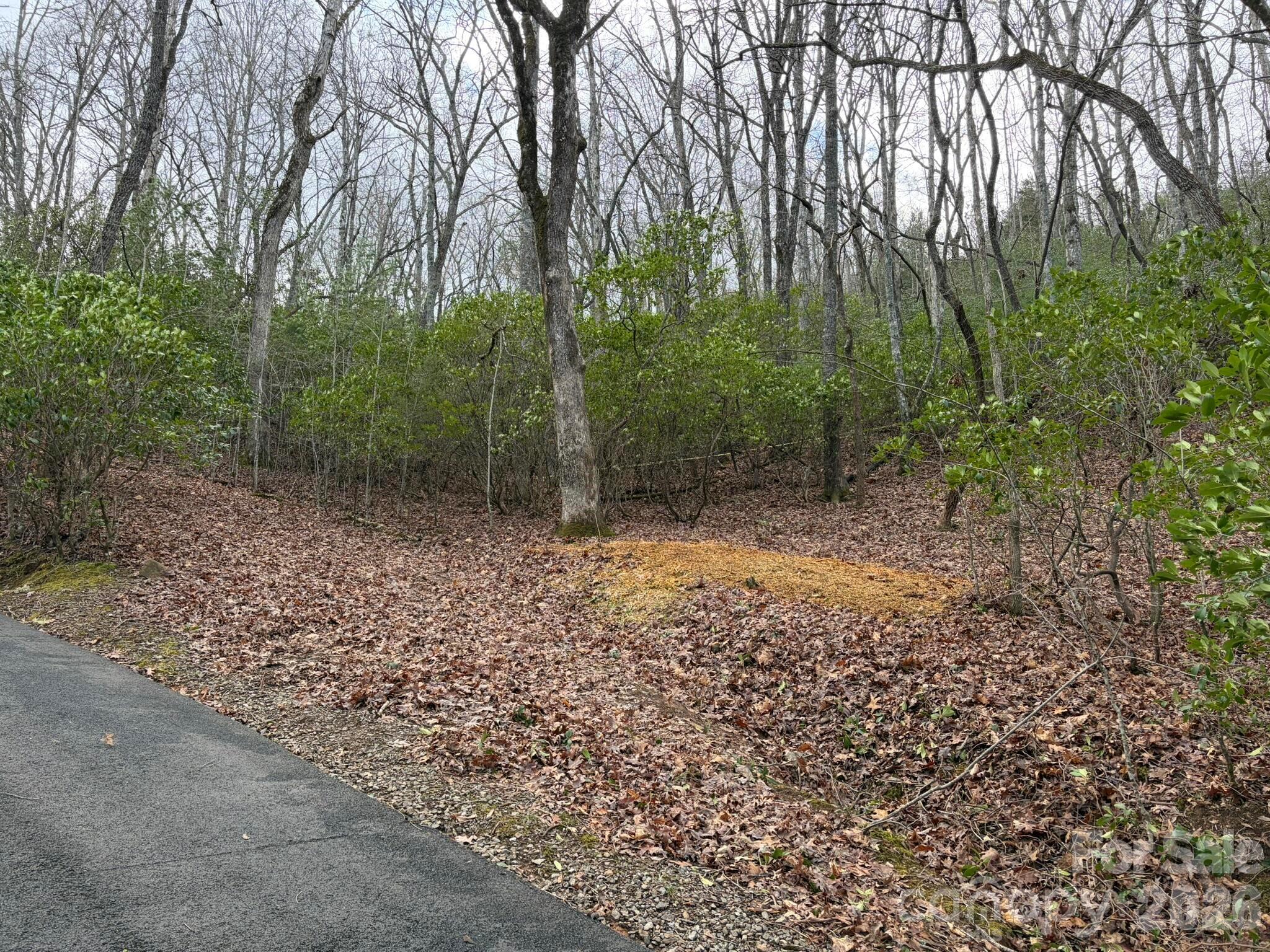 0 Crescent Ridge Property Photo 4