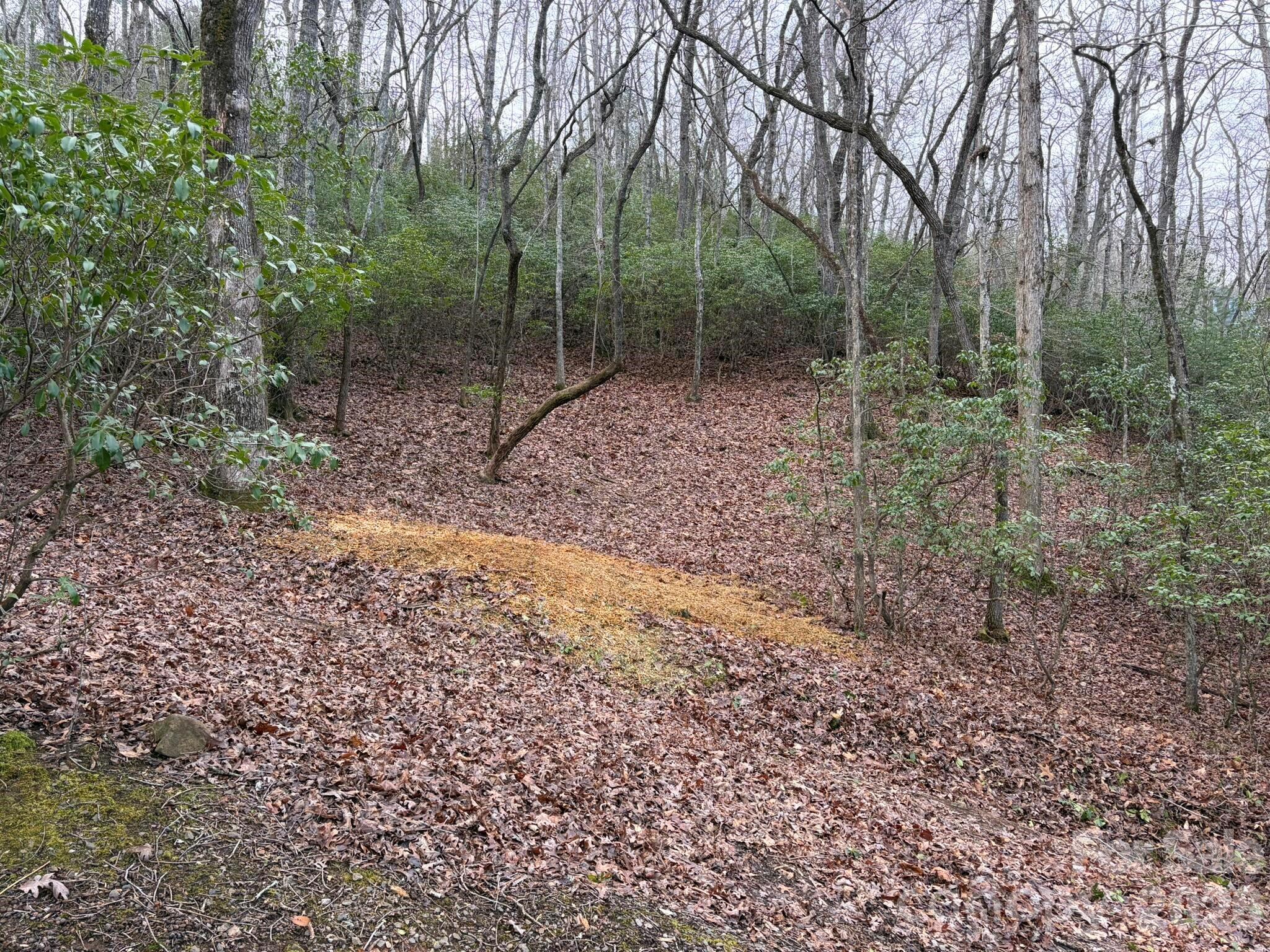 0 Crescent Ridge Property Photo 5