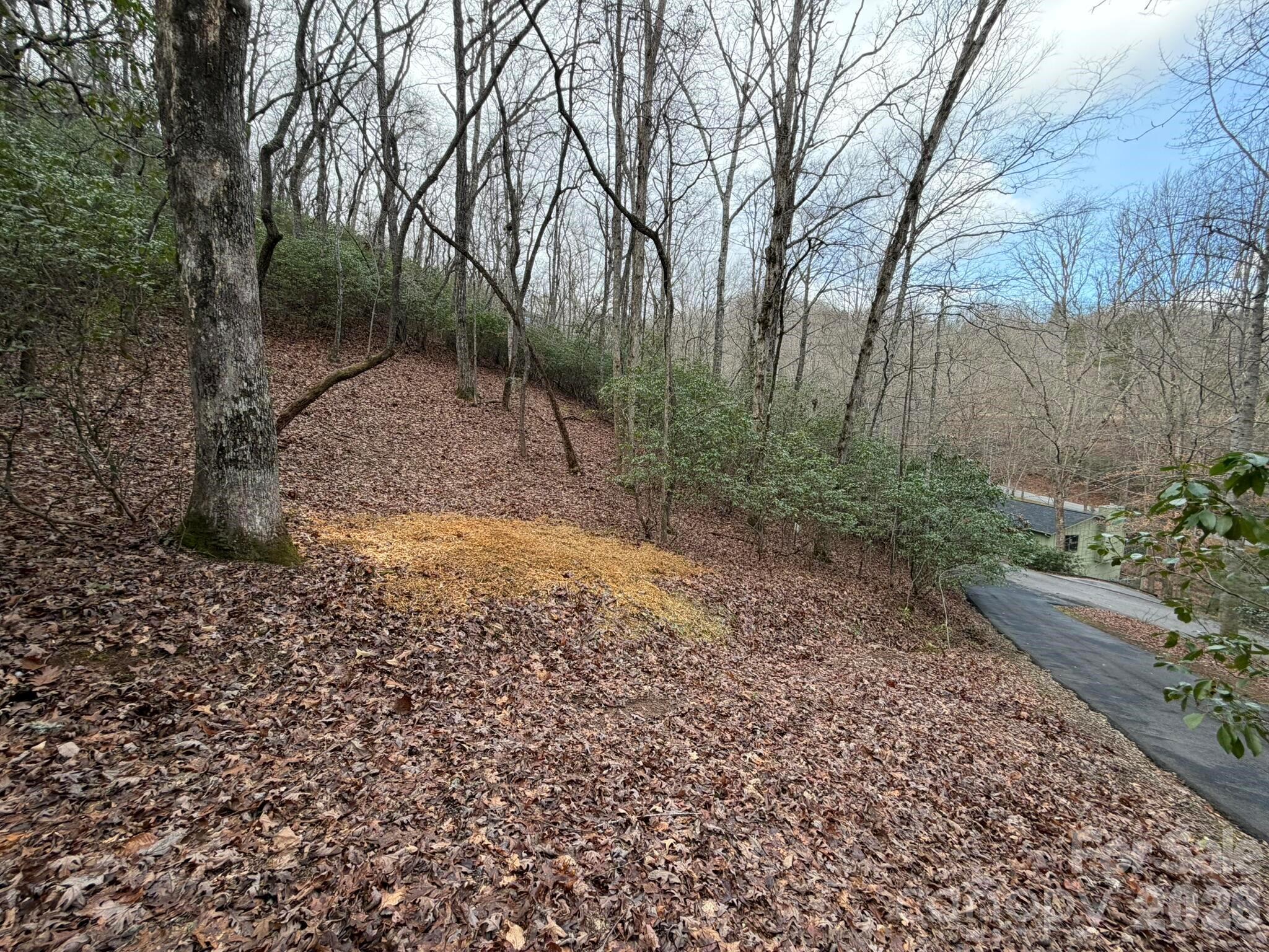 0 Crescent Ridge Property Photo 6
