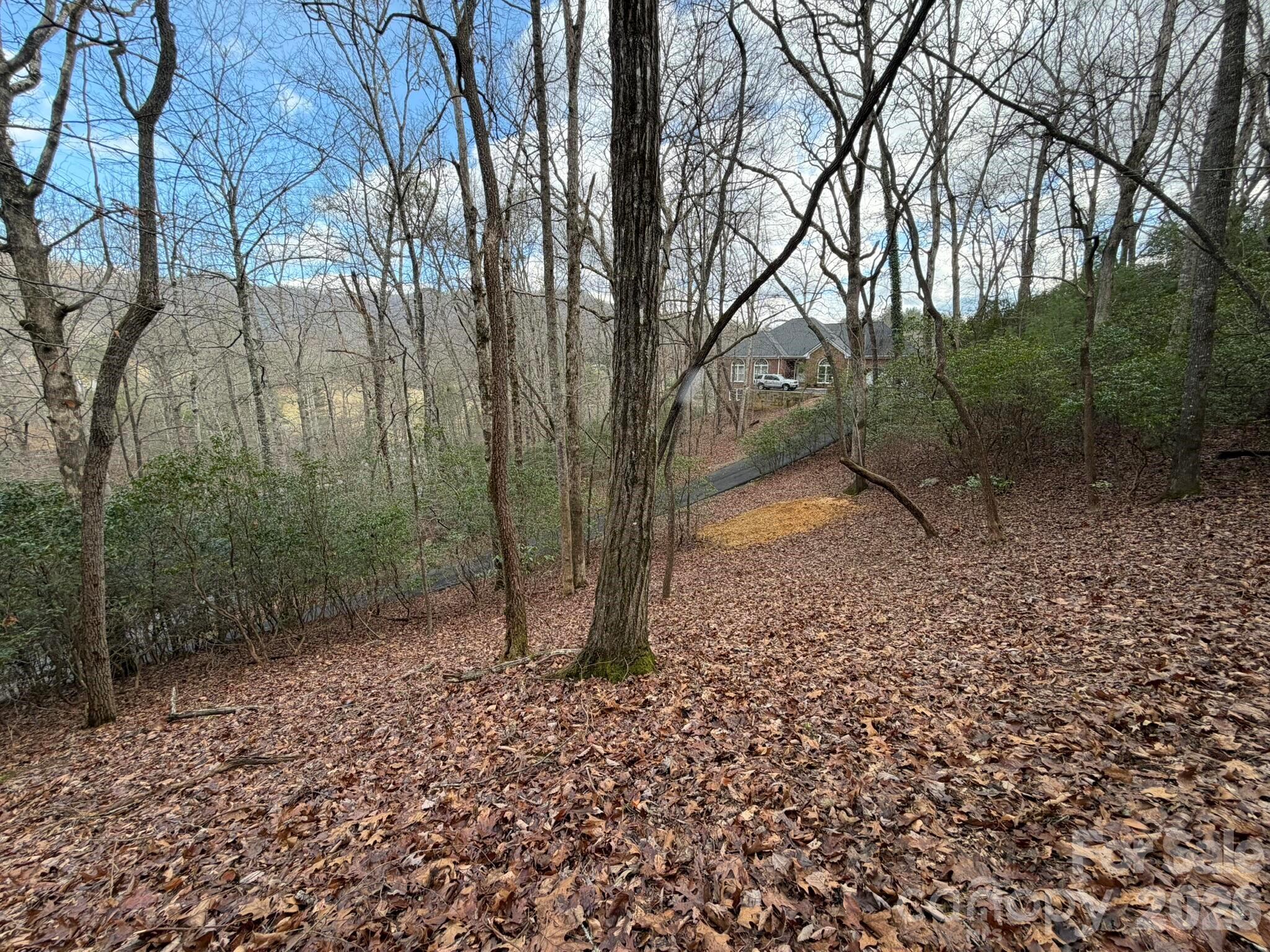0 Crescent Ridge Property Photo 7