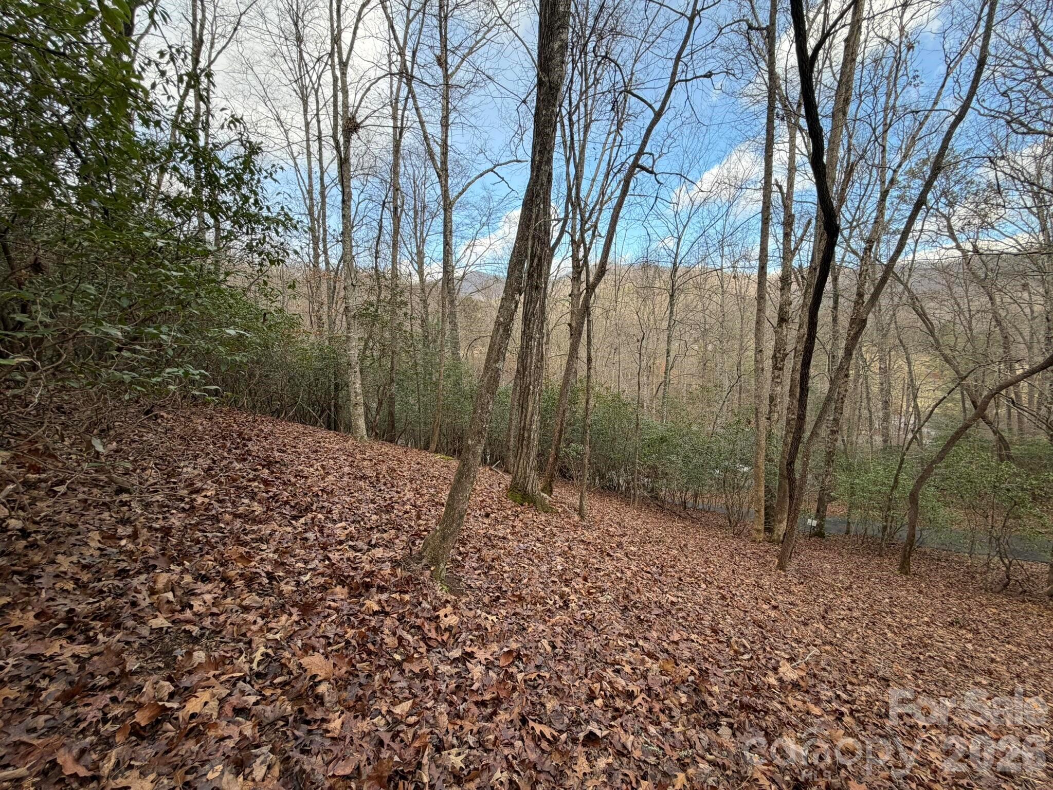 0 Crescent Ridge Property Photo 8