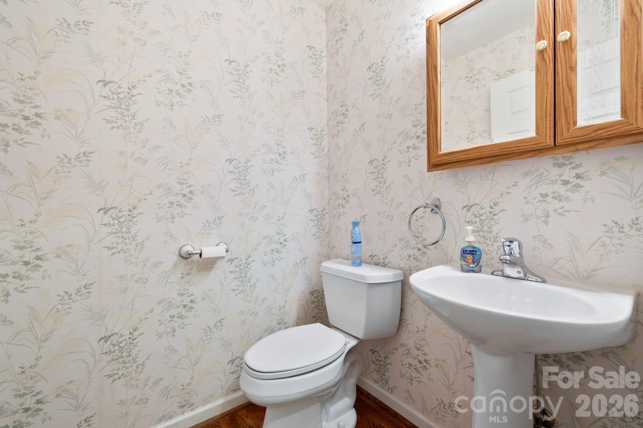 242 Carriage Summitt Way Property Photo 19