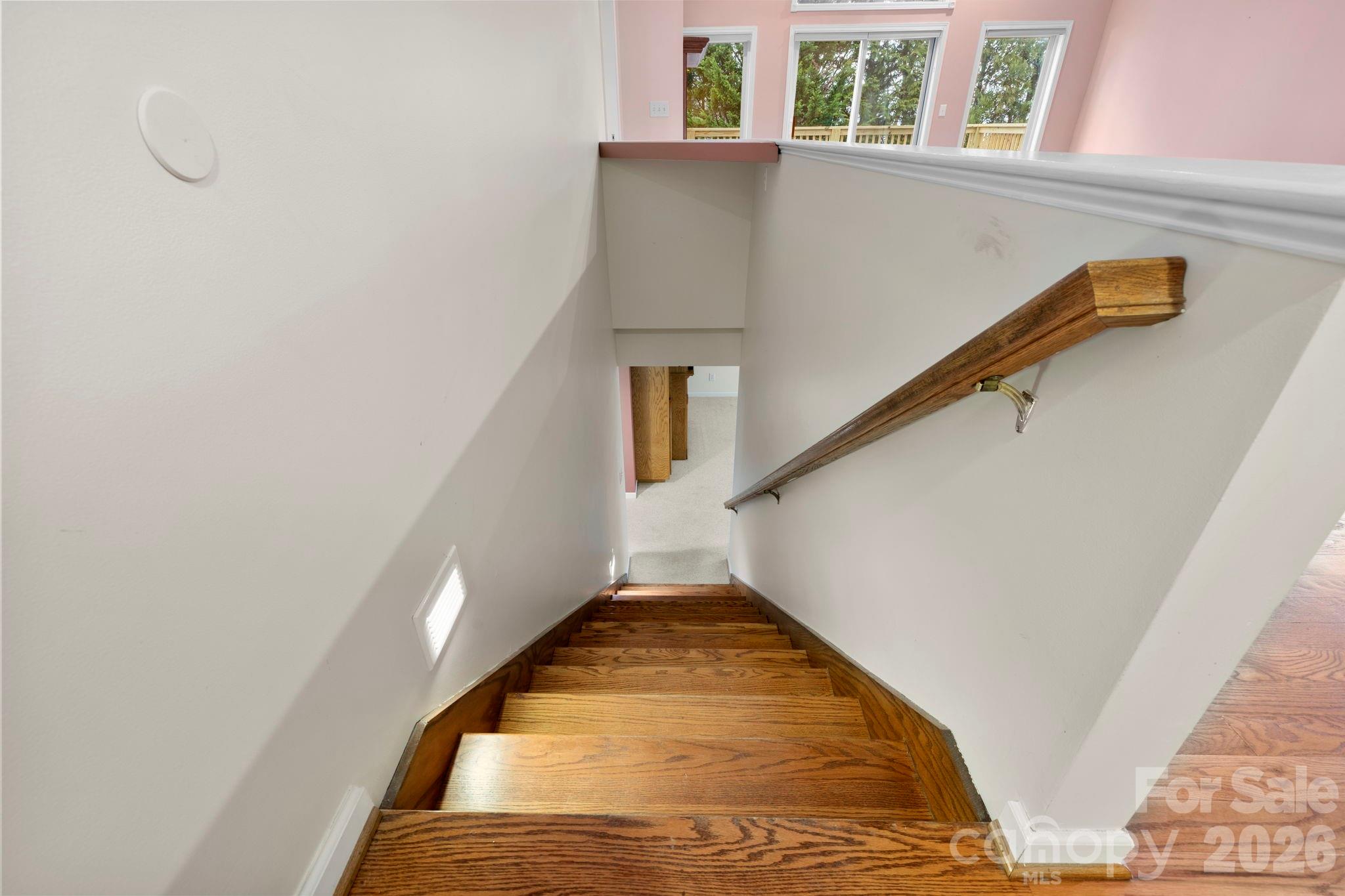 242 Carriage Summitt Way Property Photo 20