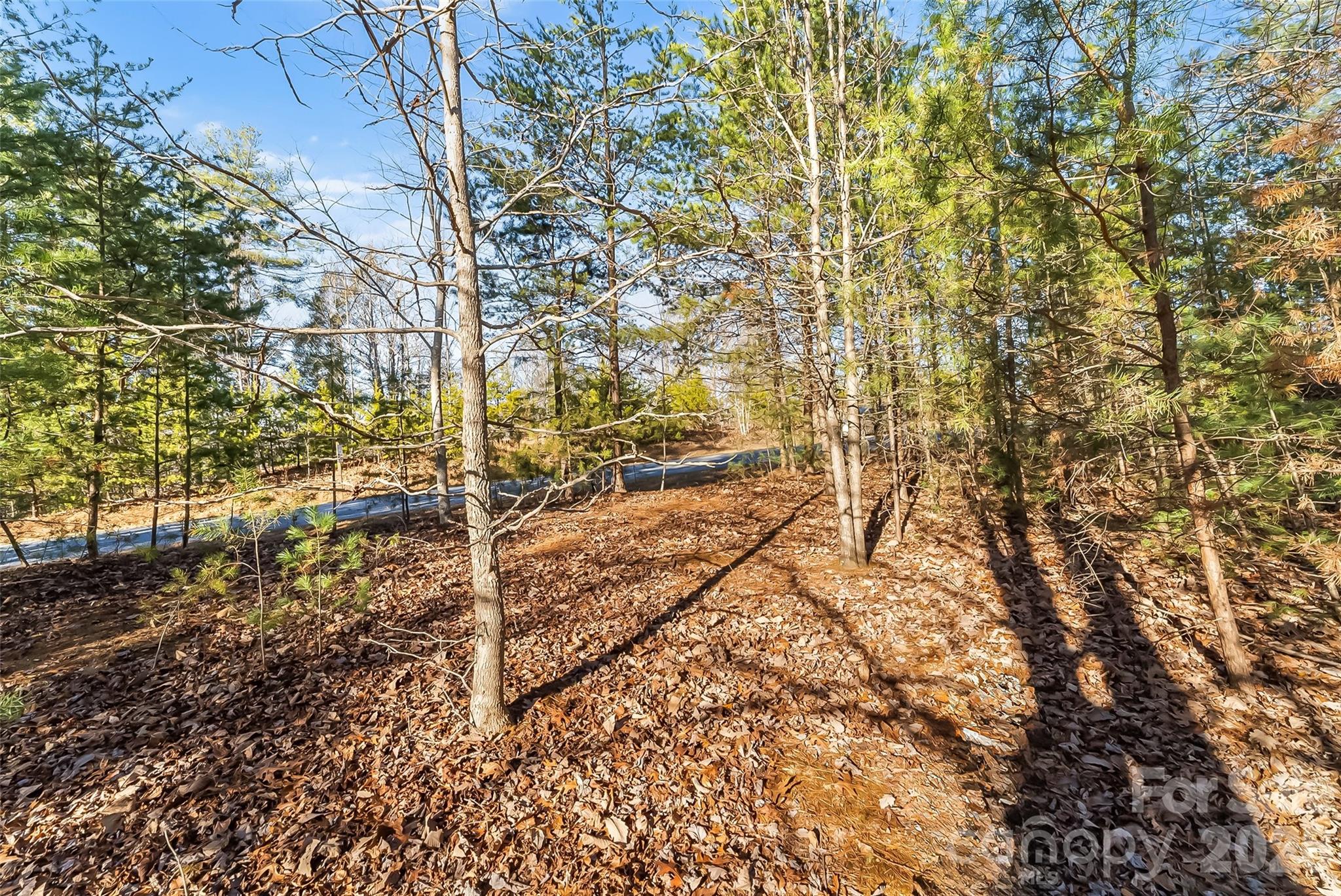 961 High Trail Drive 35-11 Property Photo 9